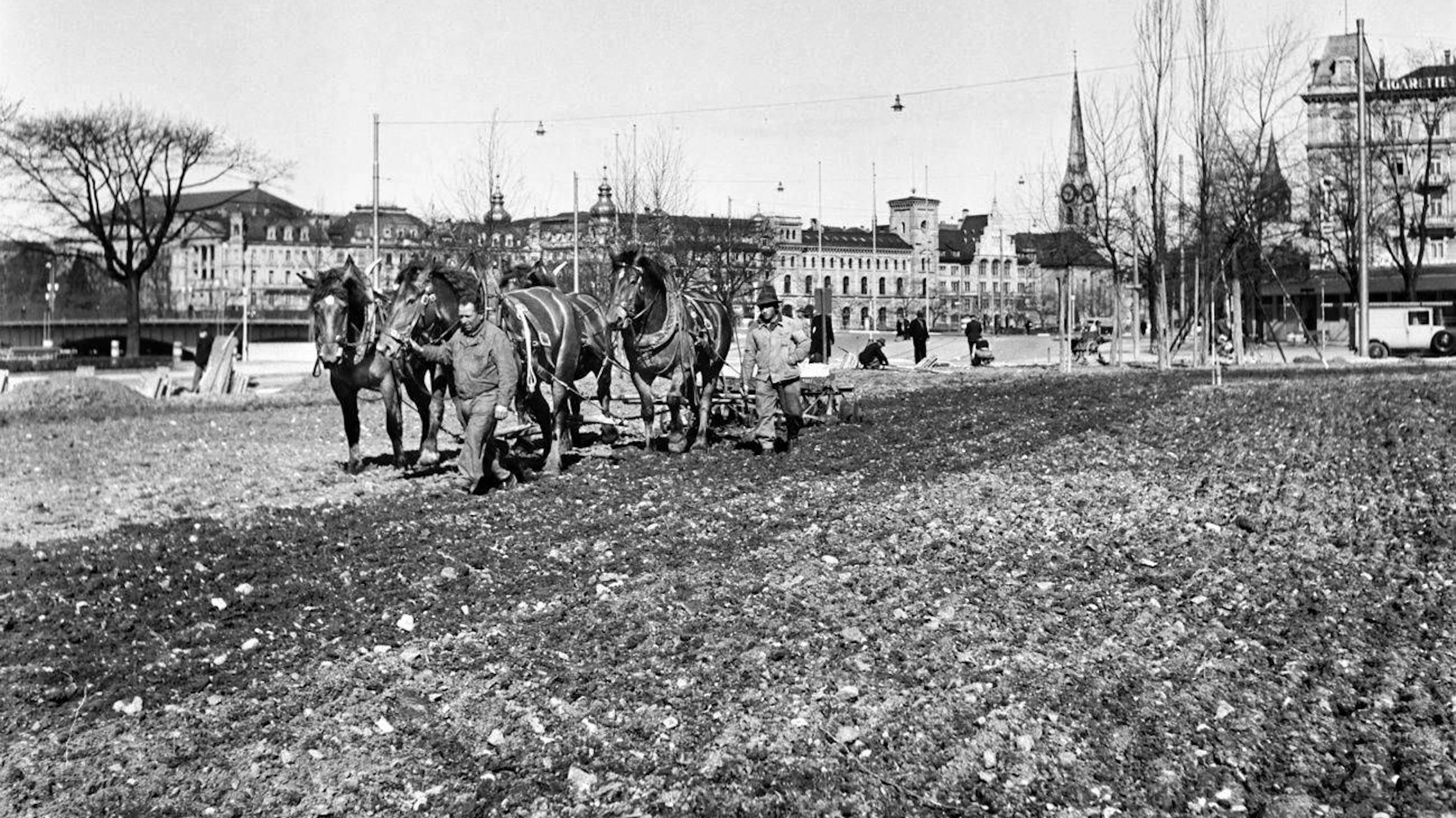 Farmers plow the square in front of the Zurich Tonhalle. The Sechseläutenwiese was also turned into a field as part of the Swiss cultivation battle during the Second World War.