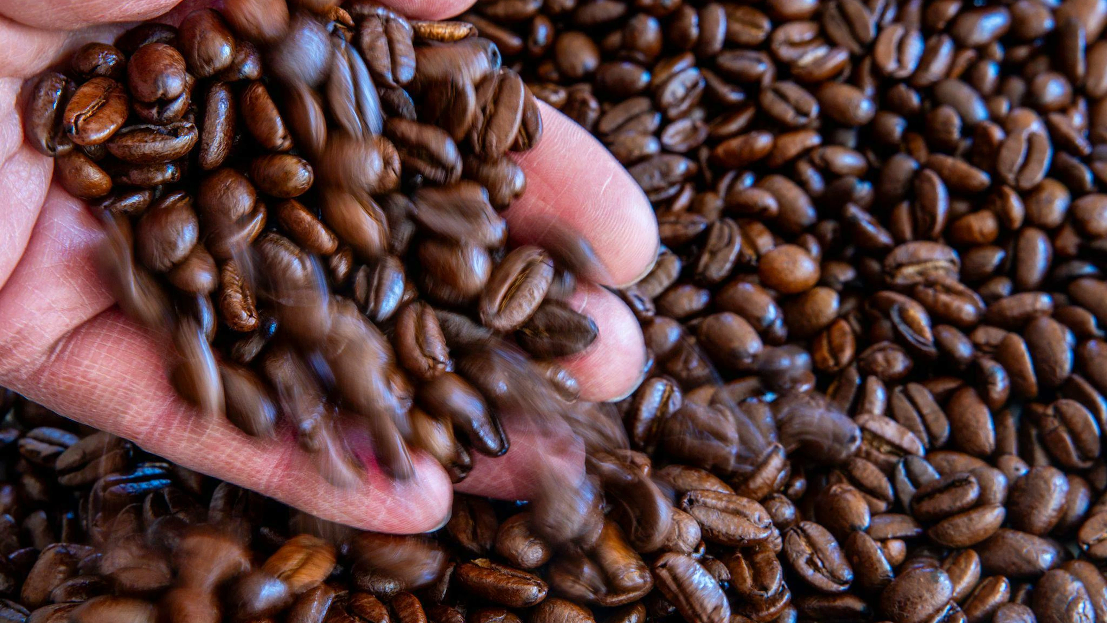 Abgesehen vom Geschmack schätzen wir Kaffee vor allem wegen des Koffeins als Muntermacher. Doch in jeder kleinen Bohne steckt noch so viel mehr, das gut für uns sein kann: Eiweiss-, Mineral- und Aromastoffe, Alkaloide, Öle und Säuren.&nbsp;(Symbolbild)
