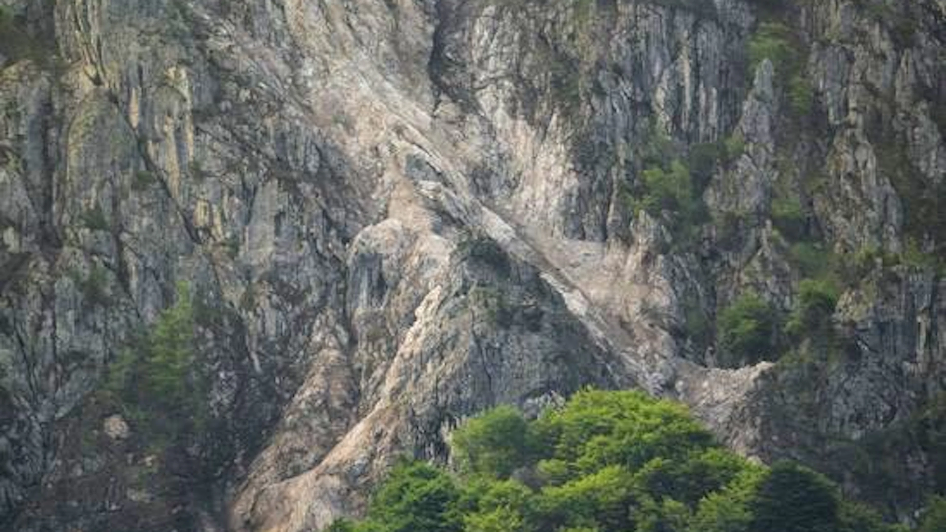 Una veduta panoramica della frana avvenuta verso le 08:00 di domenica 11 maggio nella zona dei Denti della Vecchia ed è finita nella valle tra Scirona
 e il Monte Creda.