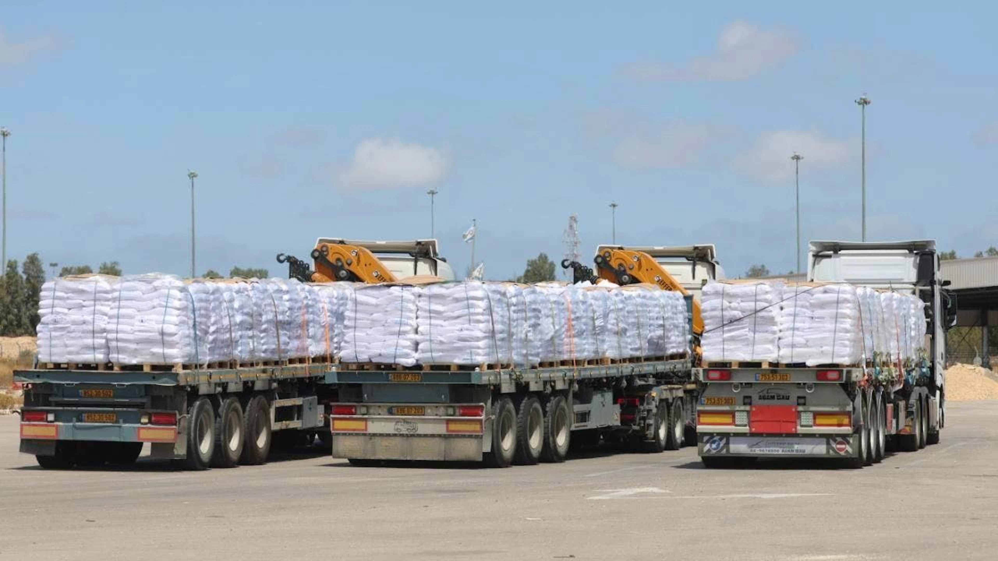 Cinque camion carichi di aiuti umanitari, tra cui alimenti per bambini, sono entrati nella Striscia di Gaza attraverso il valico di Kerem Shalom per la prima volta dal blocco imposto il 2 marzo.