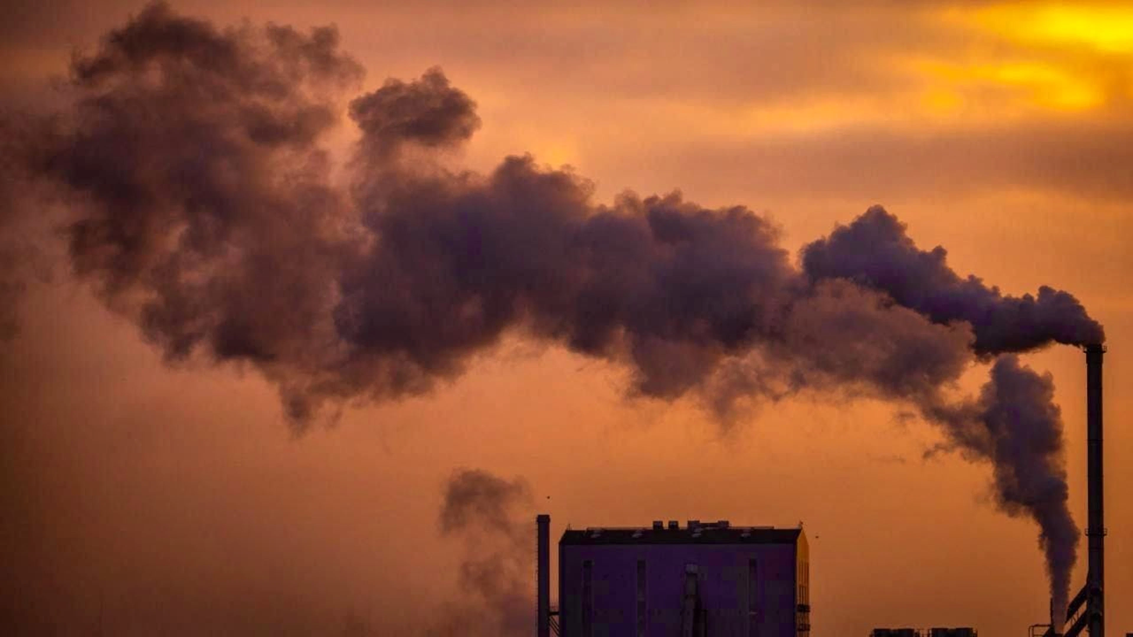 Emissions in the EU are to be reduced by more than half by 2030, and the international community is to be climate-neutral by 2050. And by 2040? More than 100 companies from Europe have a clear opinion. (archive image)