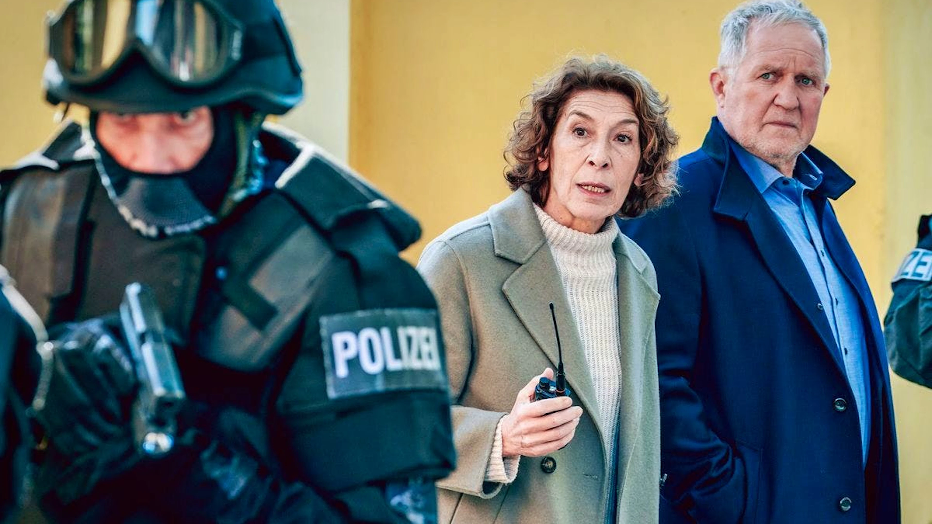 Die Wiener Innenstadt als Kampfzone: Bibi Fellner (Adele Neuhauser) und Moritz Eisner (Harald Krassnitzer) geraten als Mordermittler in eine gesellschaftliche Auseinandersetzung. Die Demonstranten lehnen den Staat und seine Autoritäten ab. Nun ist einer von ihnen tot. Erschlagen von der Polizei, die ihre Tat vertuschen will?