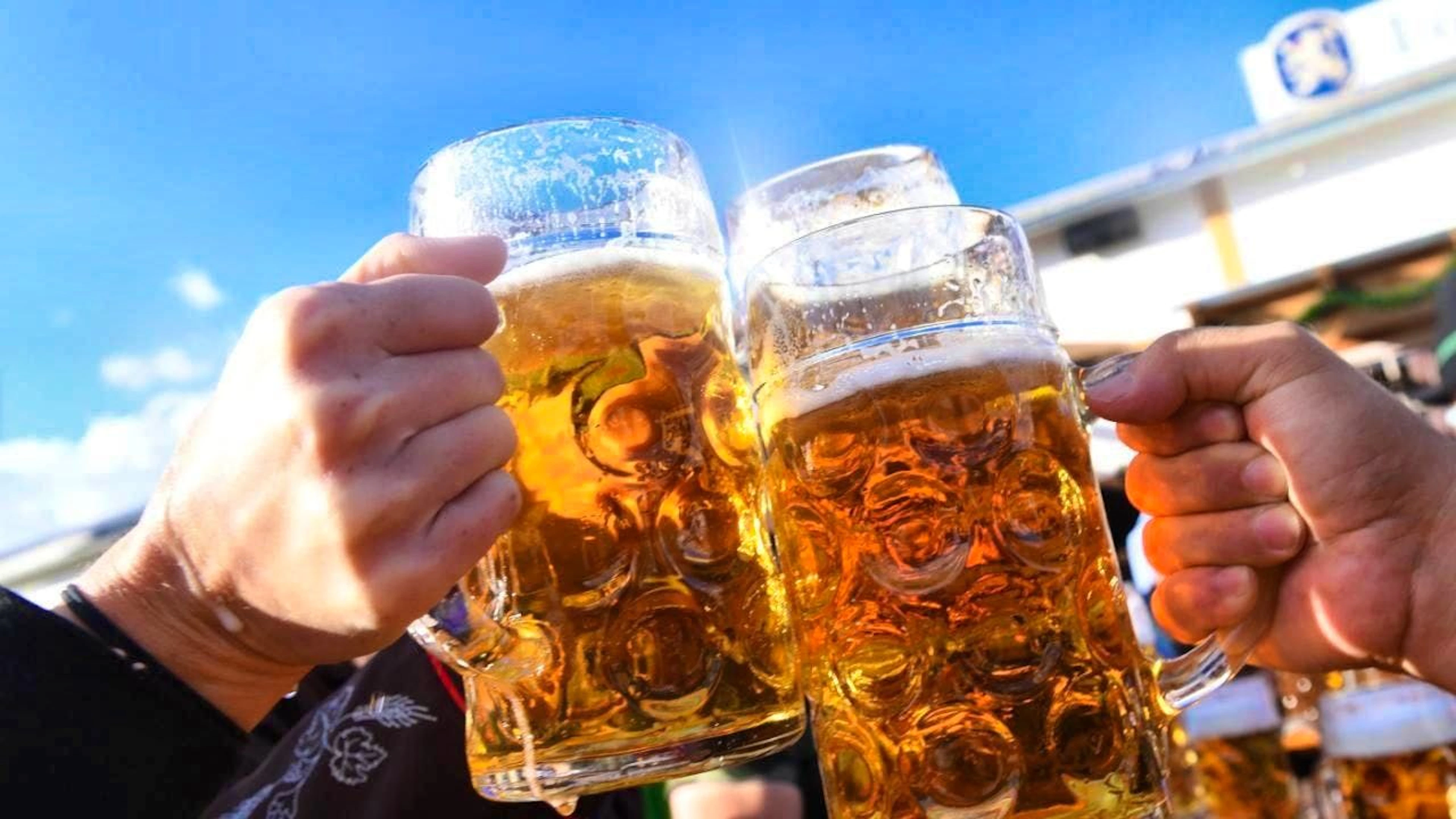 Visitors to the Oktoberfest clink glasses of beer.
