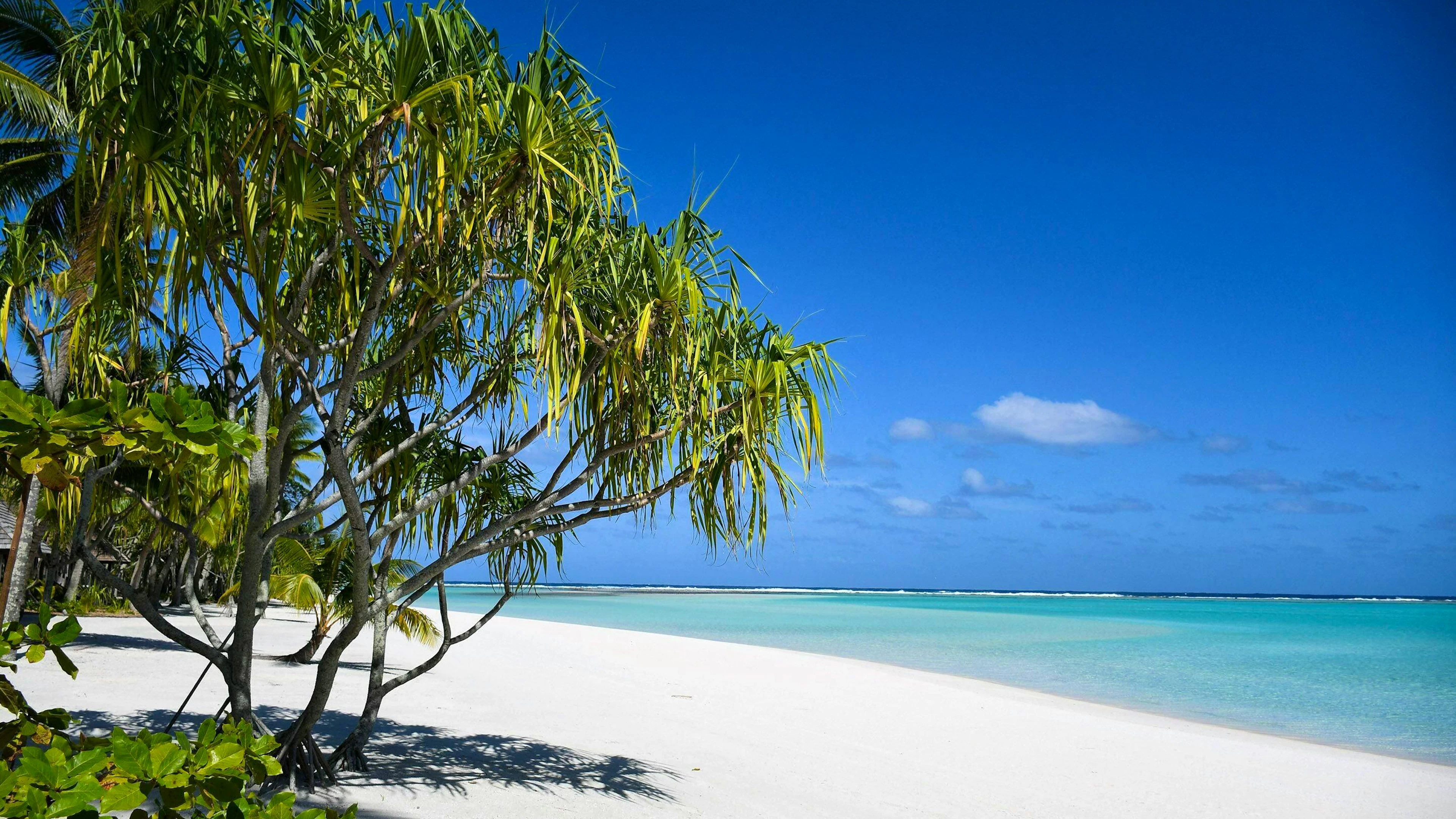 La plage de sable blanc de l'île privée de Nukutepipi dans l'archipel des Tuamotu en Polynésie française.