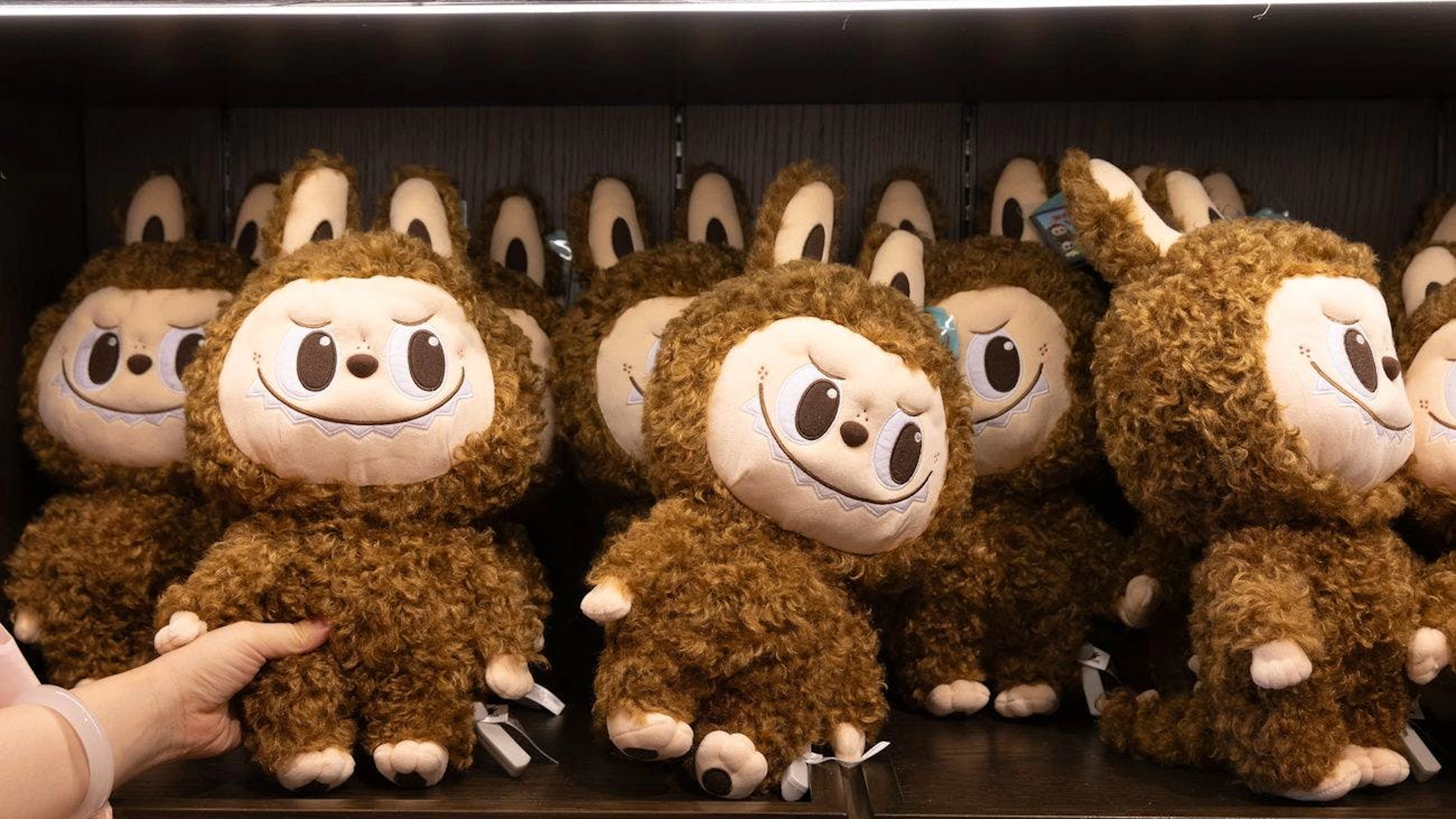 I Labubu sono dei personaggi di ispirazione nordica trasformati con successo in peluche da collezione dal designer di Hong Kong Kasing Lung. I pupazzi sono recentemente diventati virali dopo essere stati mostrati da celebrità come Rihanna e Dua Lipa.
