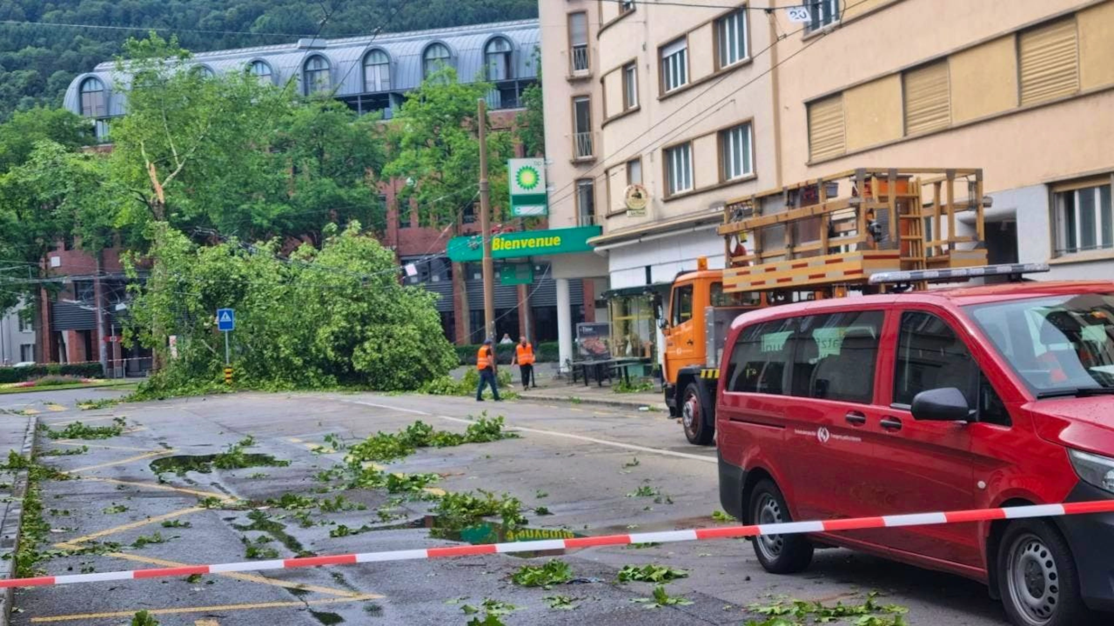 Ein umgestürzter Baum legte das Fahrleitungsnetz der Bieler Verkehrsbetriebe lahm.