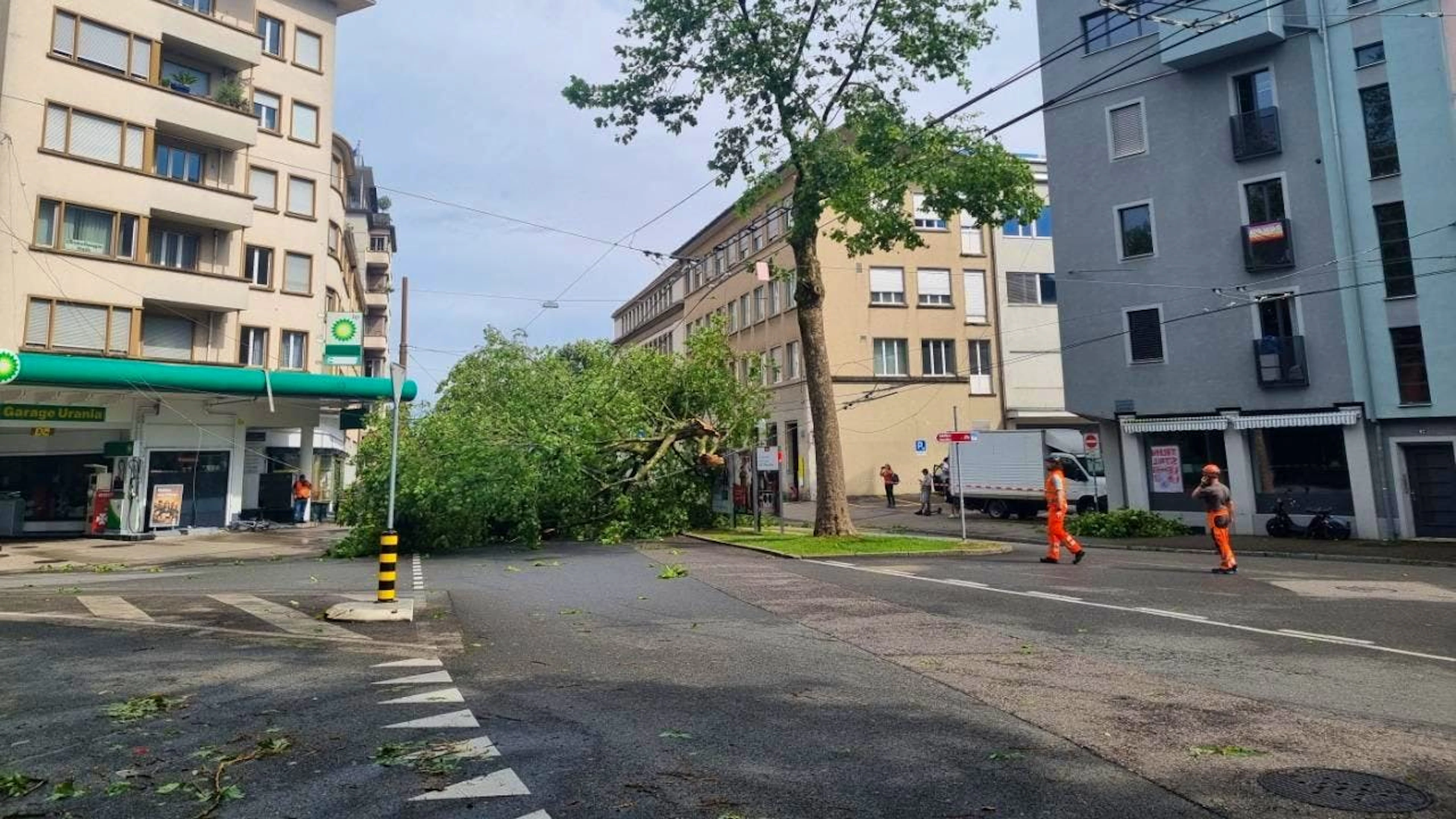Ein umgestürzter Baum nahe dem Bieler Bahnhof.