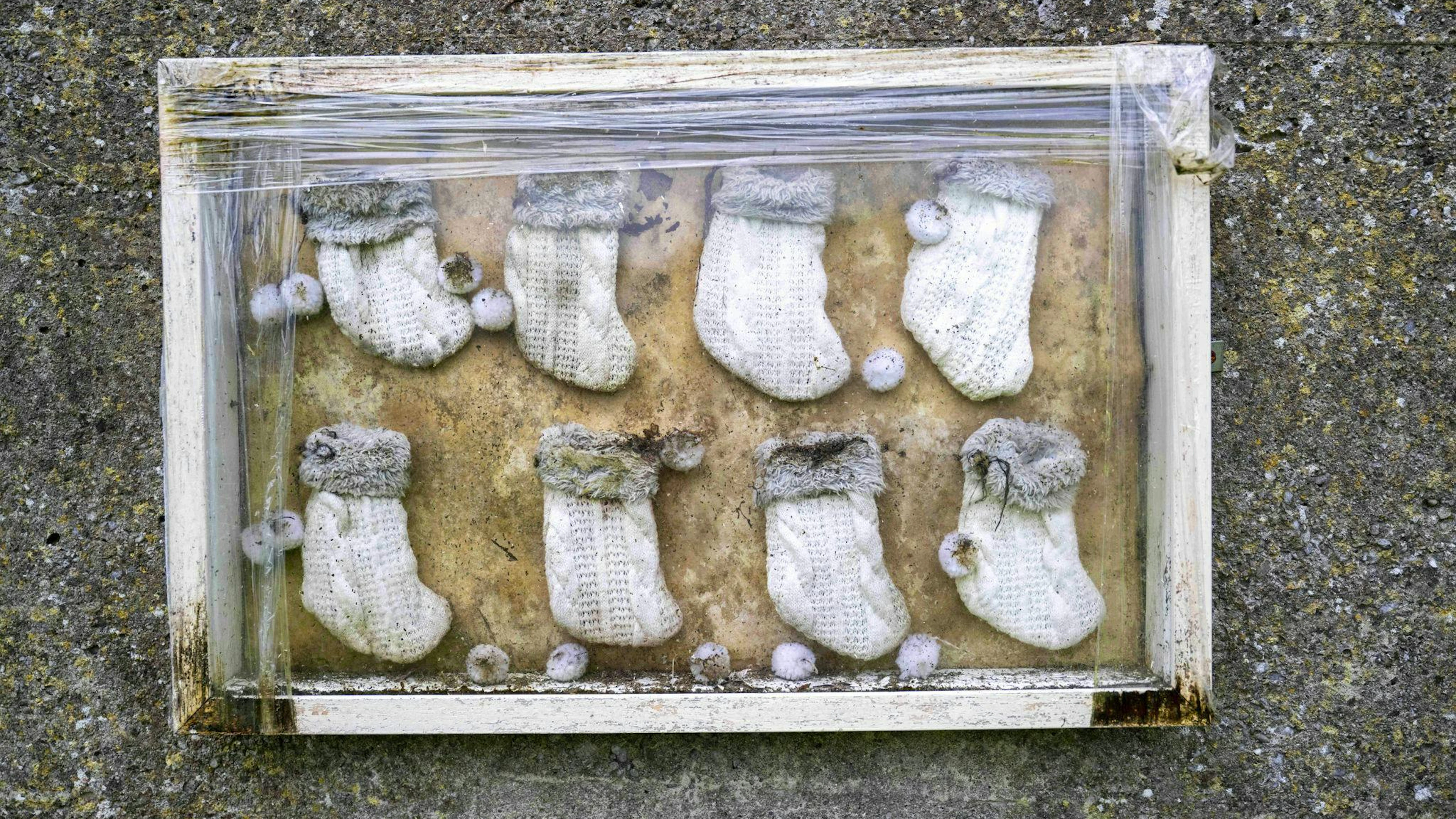 Das Schicksal von fast 800 Babys und Kleinkindern hatte Irland schockiert.