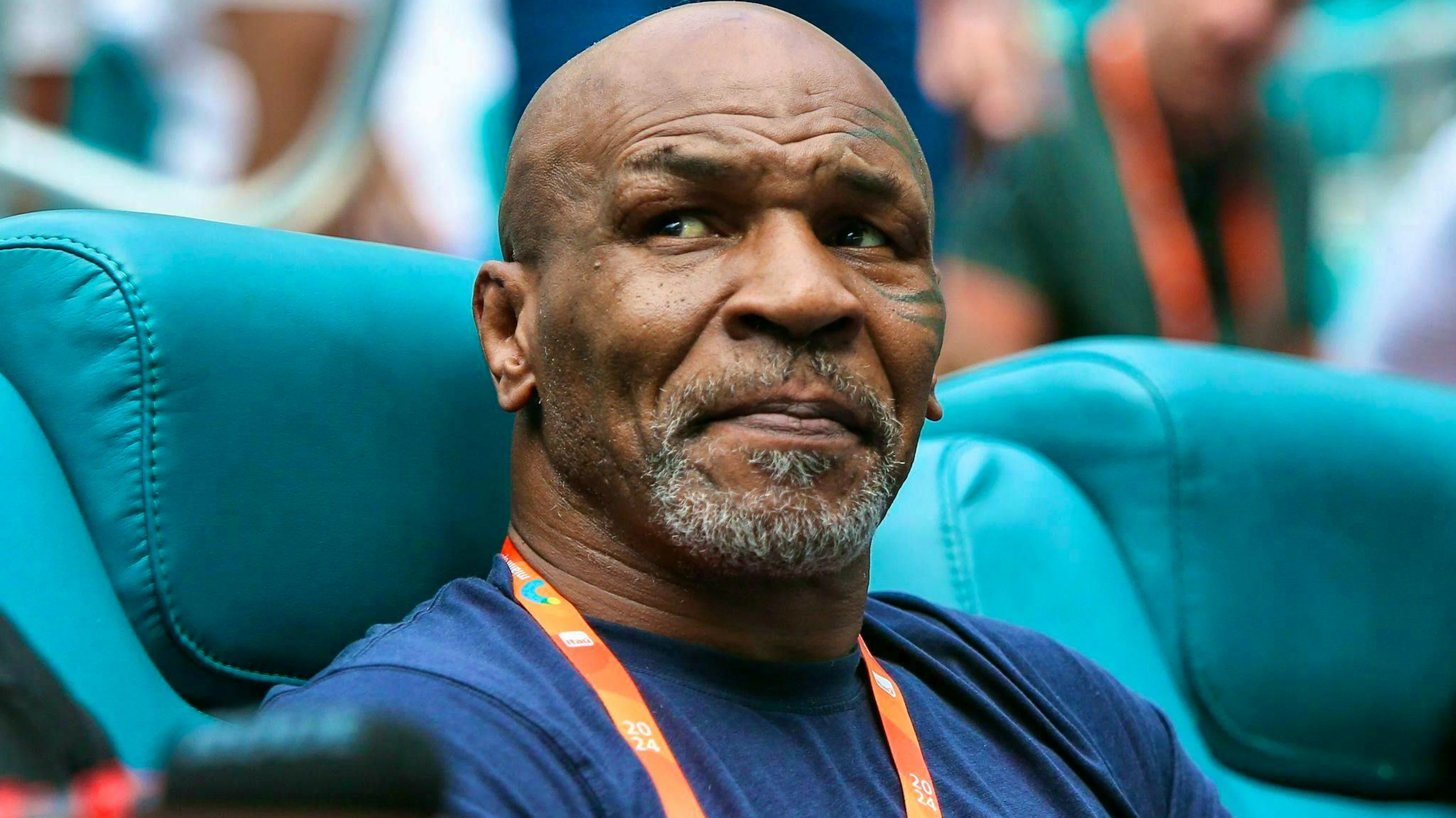 L'ex campione del mondo di boxe Mike Tyson ha un debole per i piccioni. Il 58enne alleva piccioni e partecipa a gare con i suoi uccelli. Già da bambino aveva un piccione di nome Julius.