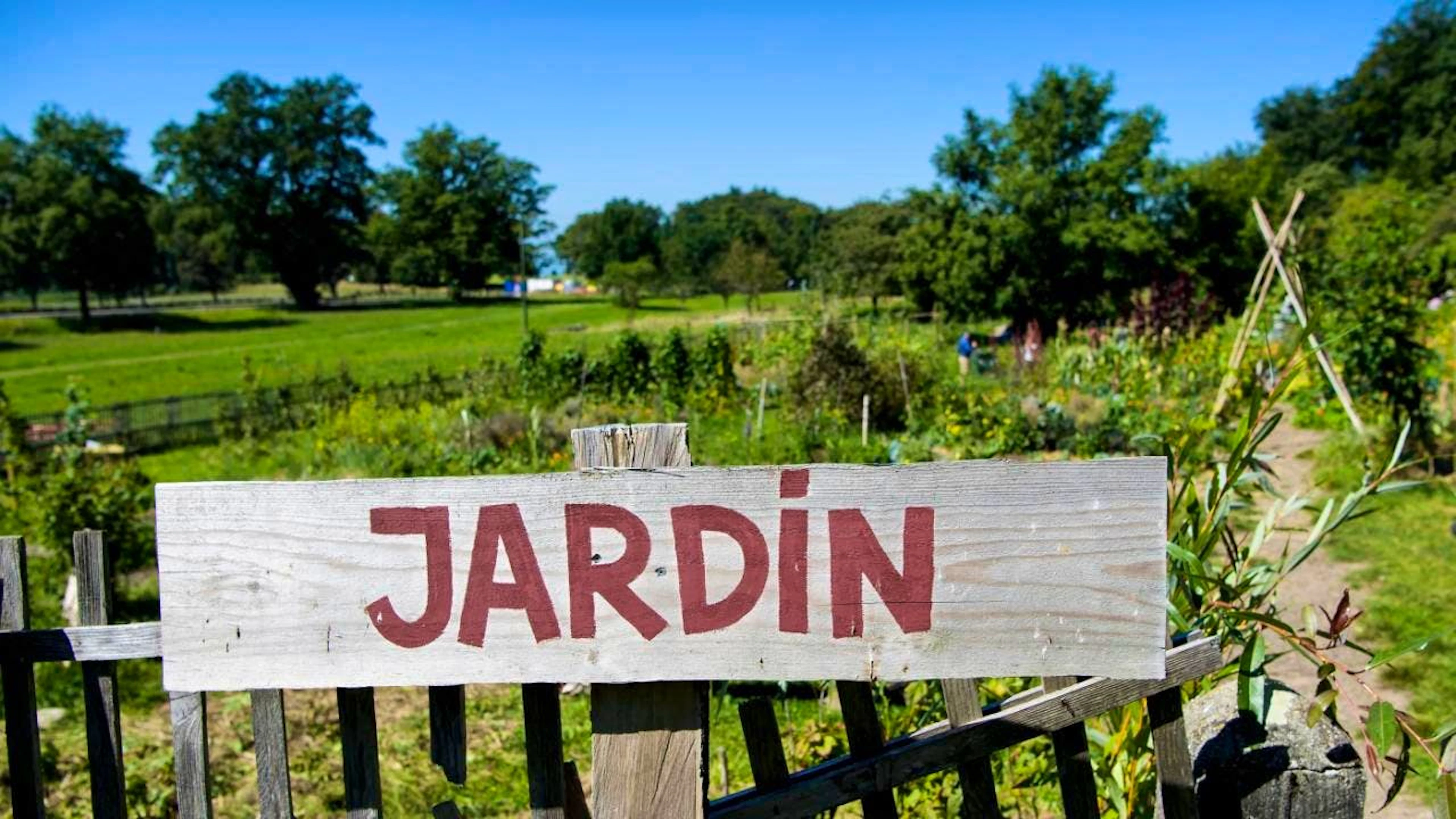 Lausanne veut accueillir toujours plus de jardins sur son territoire (photo d'illustration).