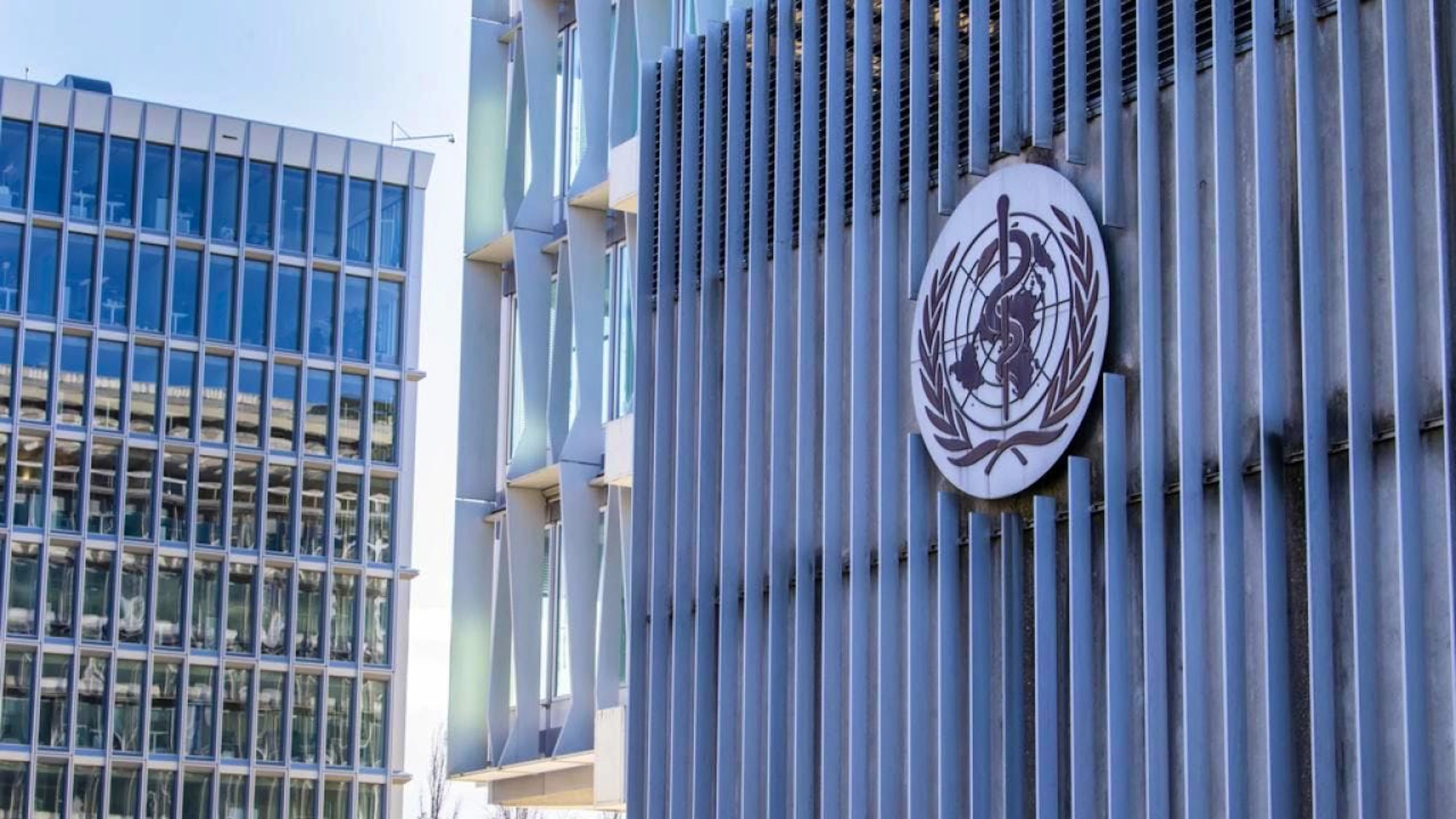 L'Organisation mondiale de la santé (OMS) demande de faire de la lutte contre la solitude et l'isolement social un chantier de santé de premier plan dans les différents pays (archives).