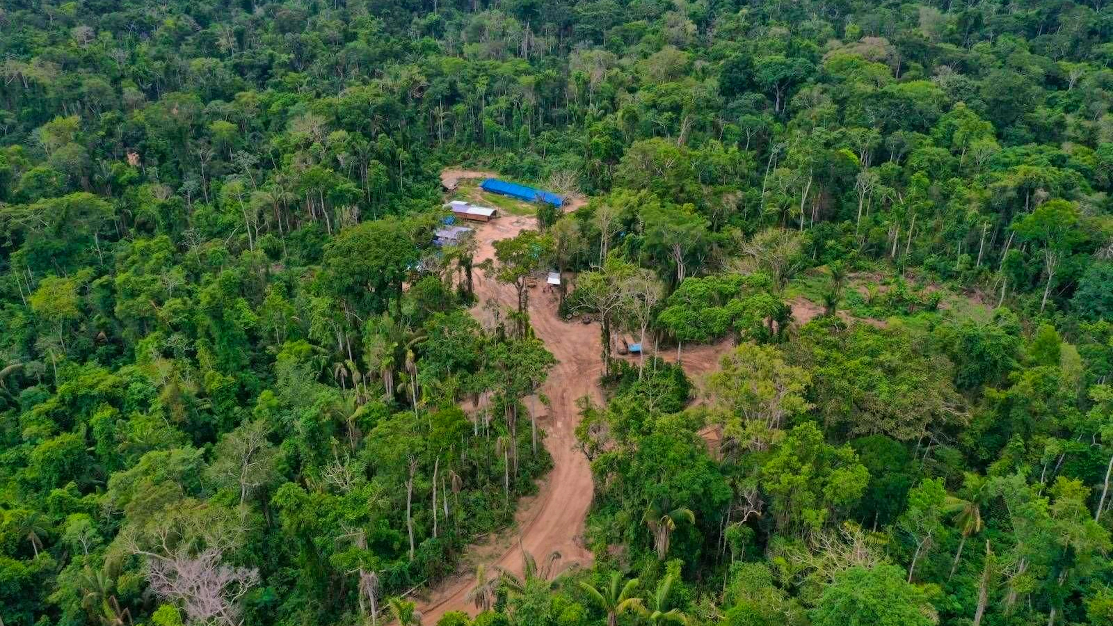 Les Mashco Piro sont probablement le plus grand groupe ethnique au monde qui n'a pas encore été contacté.