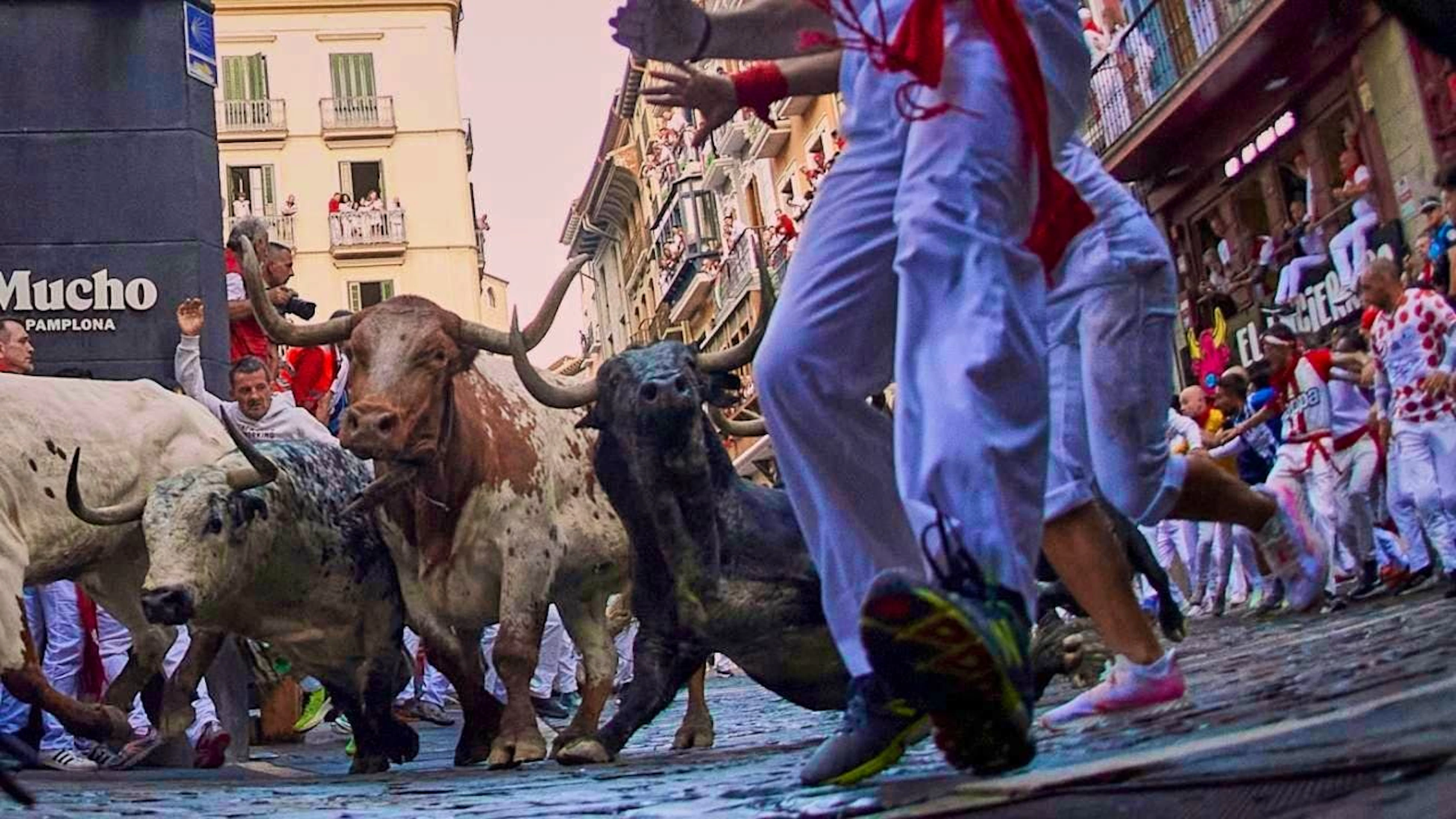 dpatopbilder - Participants run with the bulls during the second day of the bull run at the San Fermín Fiestas (Sanfermin Festival). Photo: Miguel Oses/AP/dpa