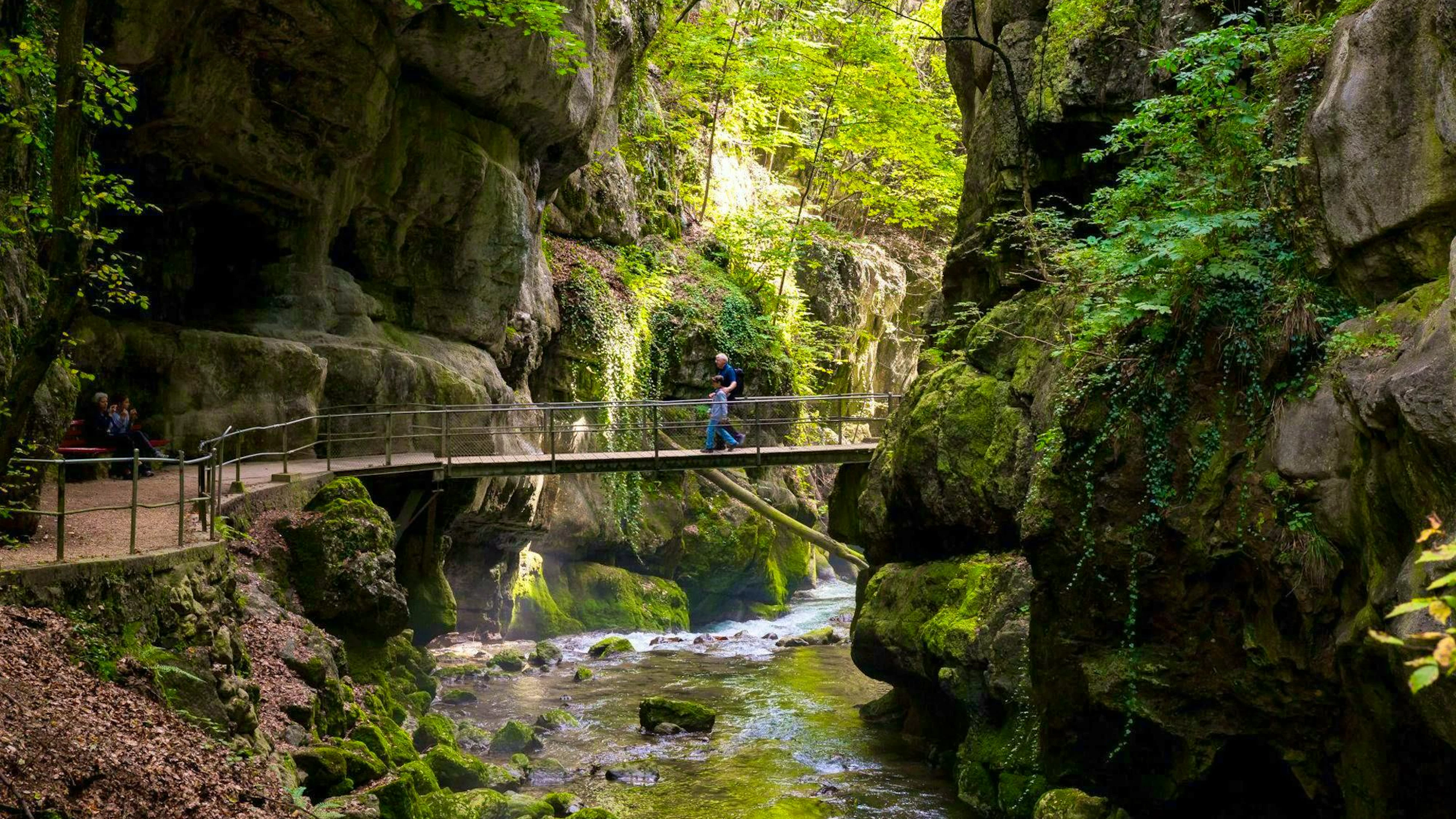 Un rafraîchissement agréable en été: les gorges du Taubenloch. Cette randonnée courte mais captivante mène à travers un monde mystique.