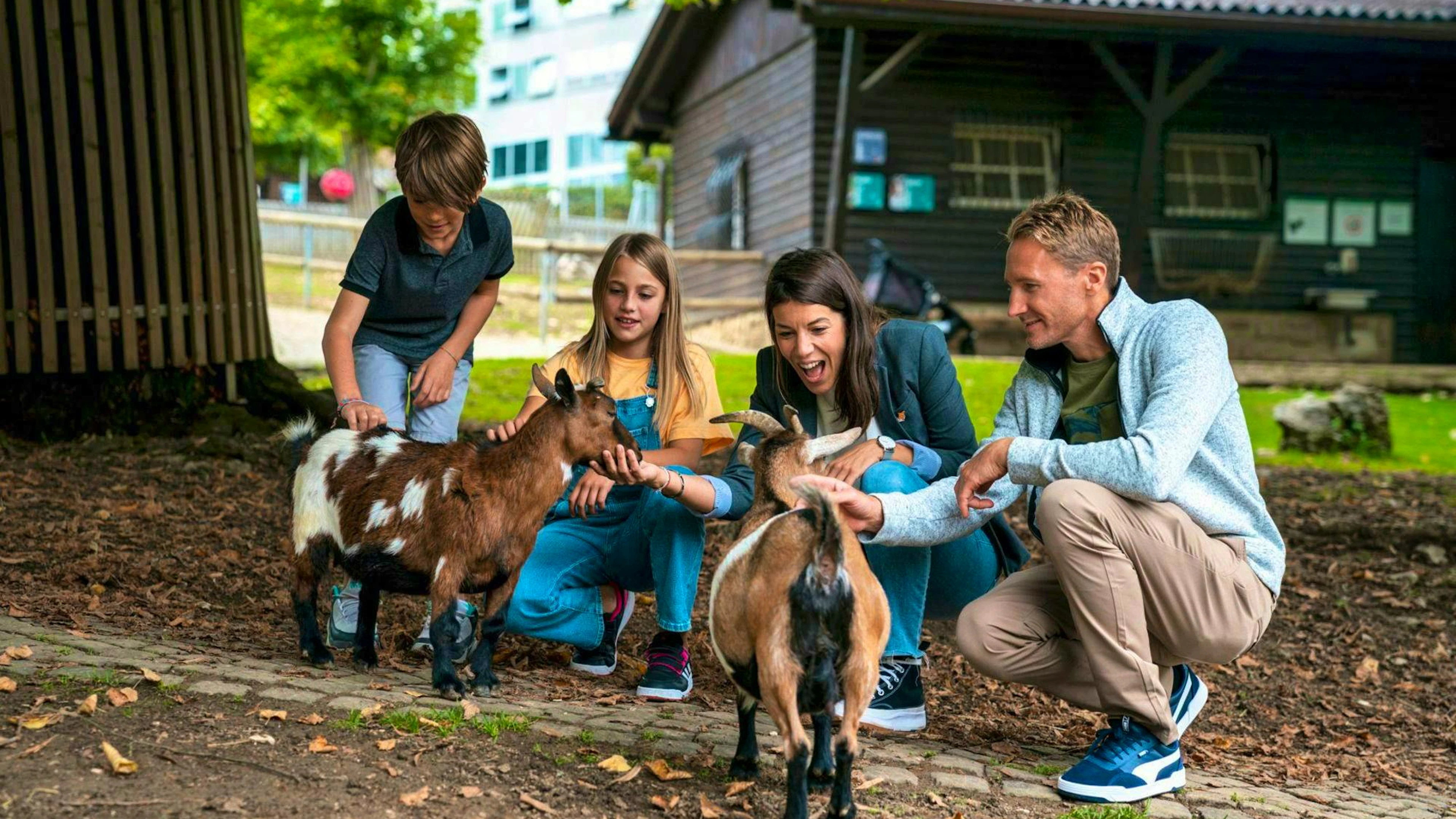 Une touche animale pour conclure ce beau voyage: au Muzoo, on peut approcher certains animaux de près, tandis que d'autres sont à admirer derrière une vitre, dans le vivarium.