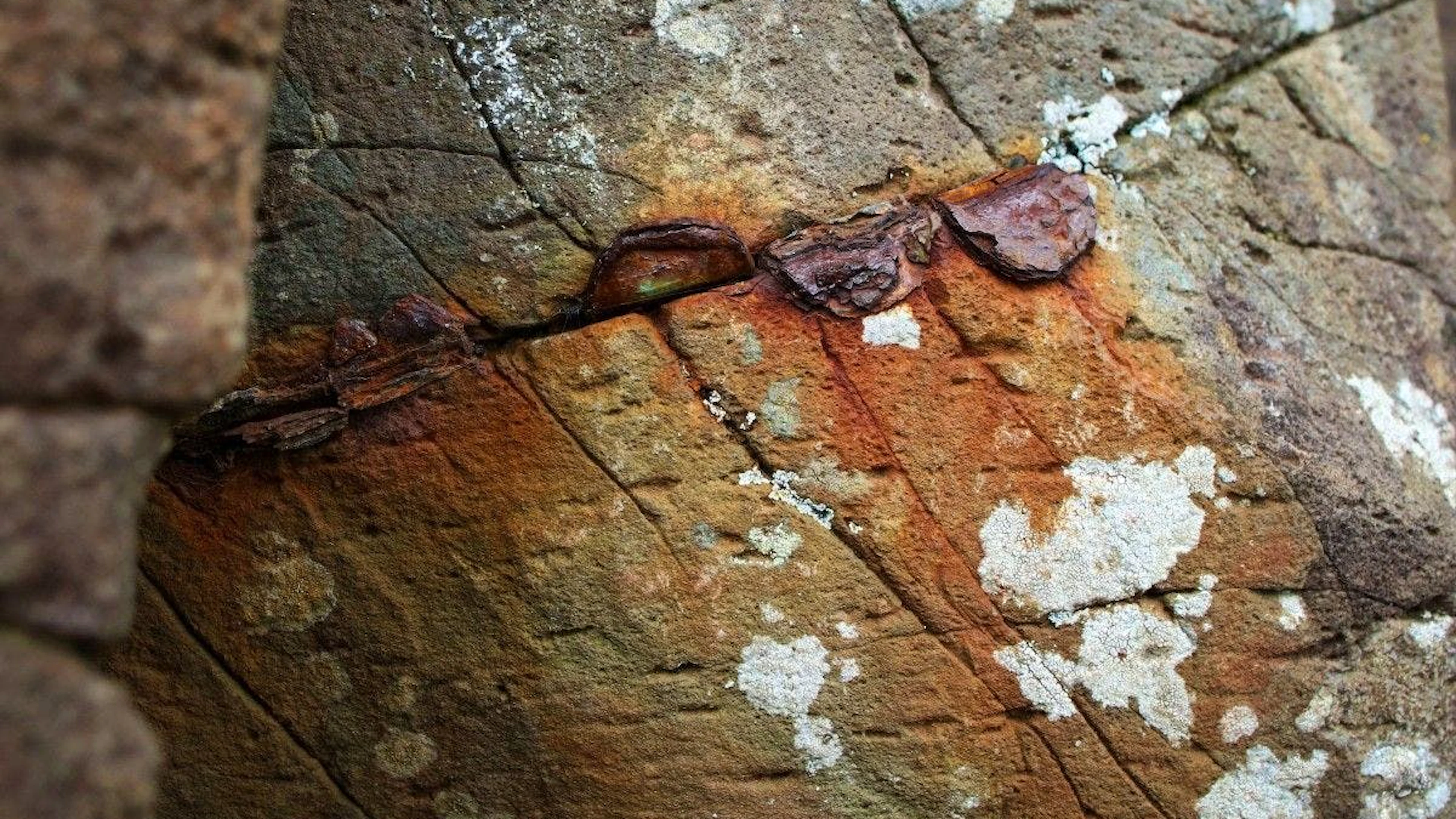 Cependant, les pièces laissées par les visiteurs rouillent très vite, laissant des traces brunes «disgracieuses», et se dilatent jusqu'à parfois tripler de taille, écaillant la roche, souligne Cliff Henry en inspectant les colonnes.