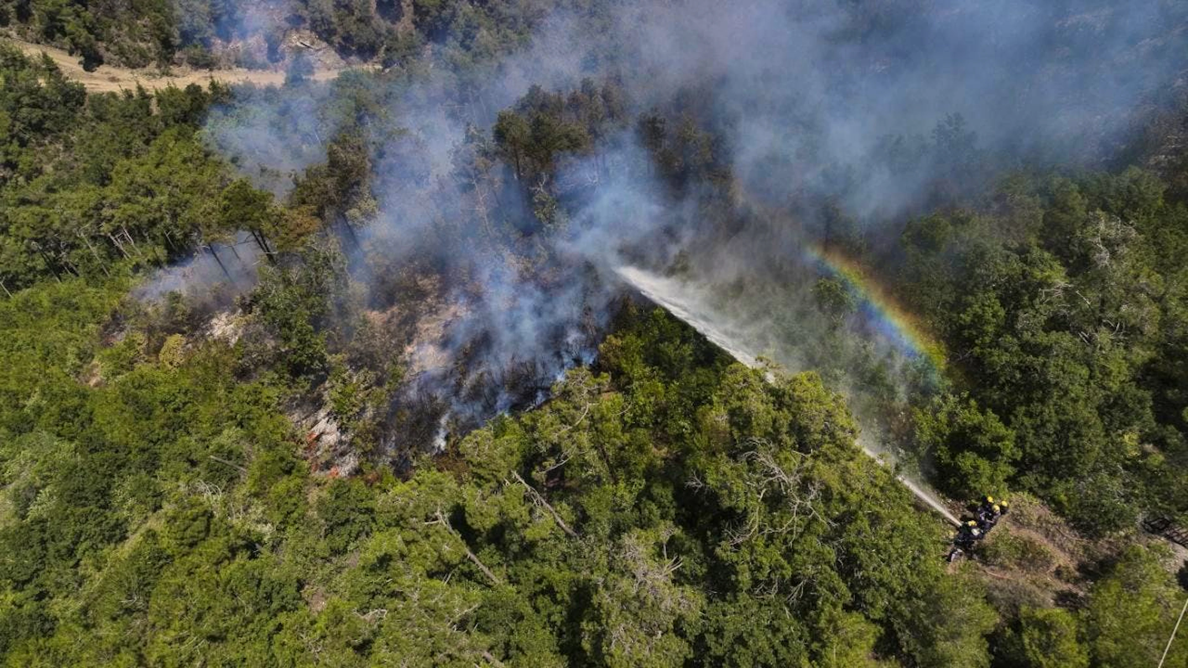 L'ouest du pays a été frappé par des feux de forêts ces derniers jours.