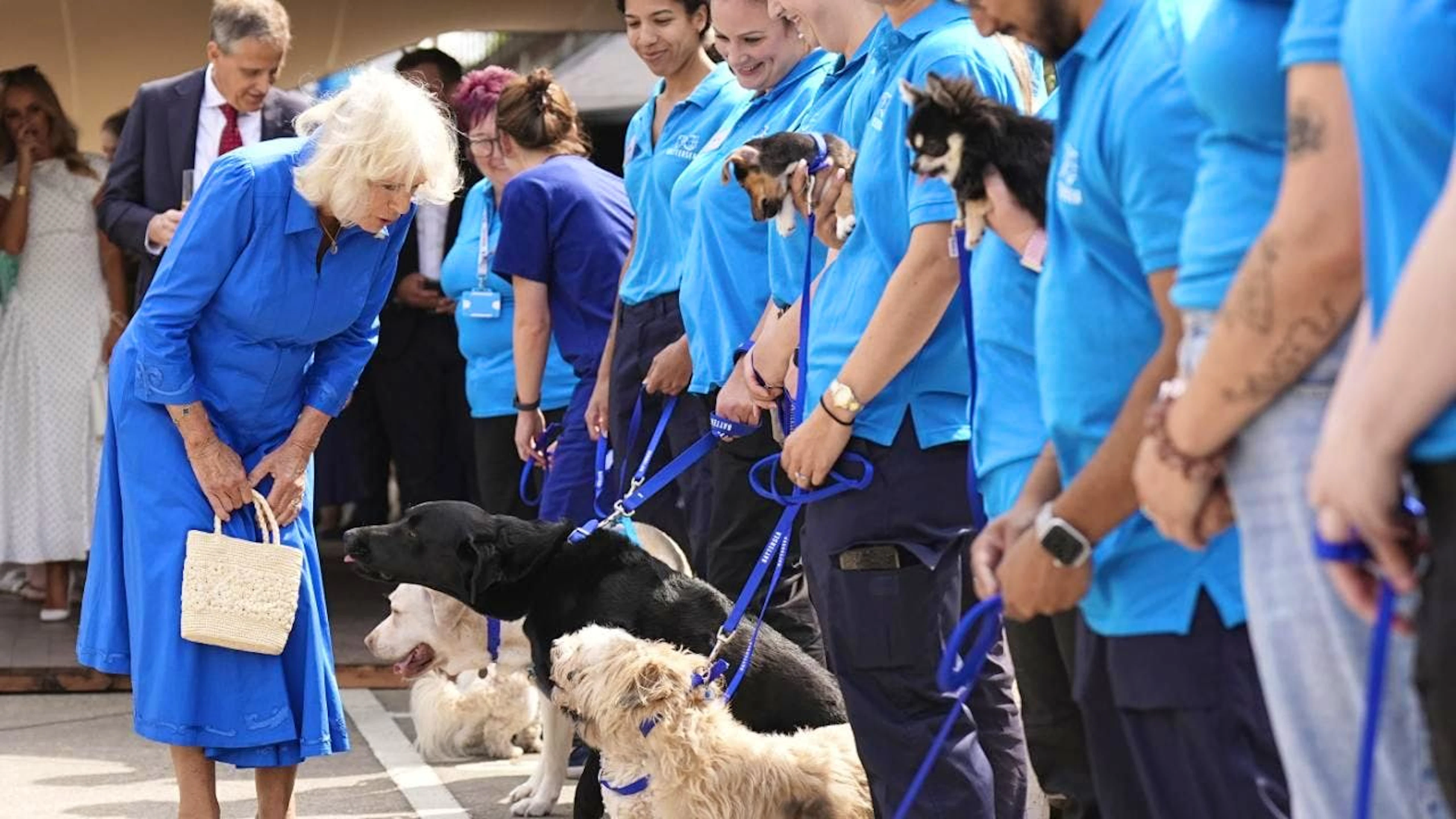 Auch für ihre Hundeliebe bekannt: Königin Camilla begrüsst Vierbeiner zur Eröffnung eines Hundegartens in Battersea, Südwest-London. (Archivbild)