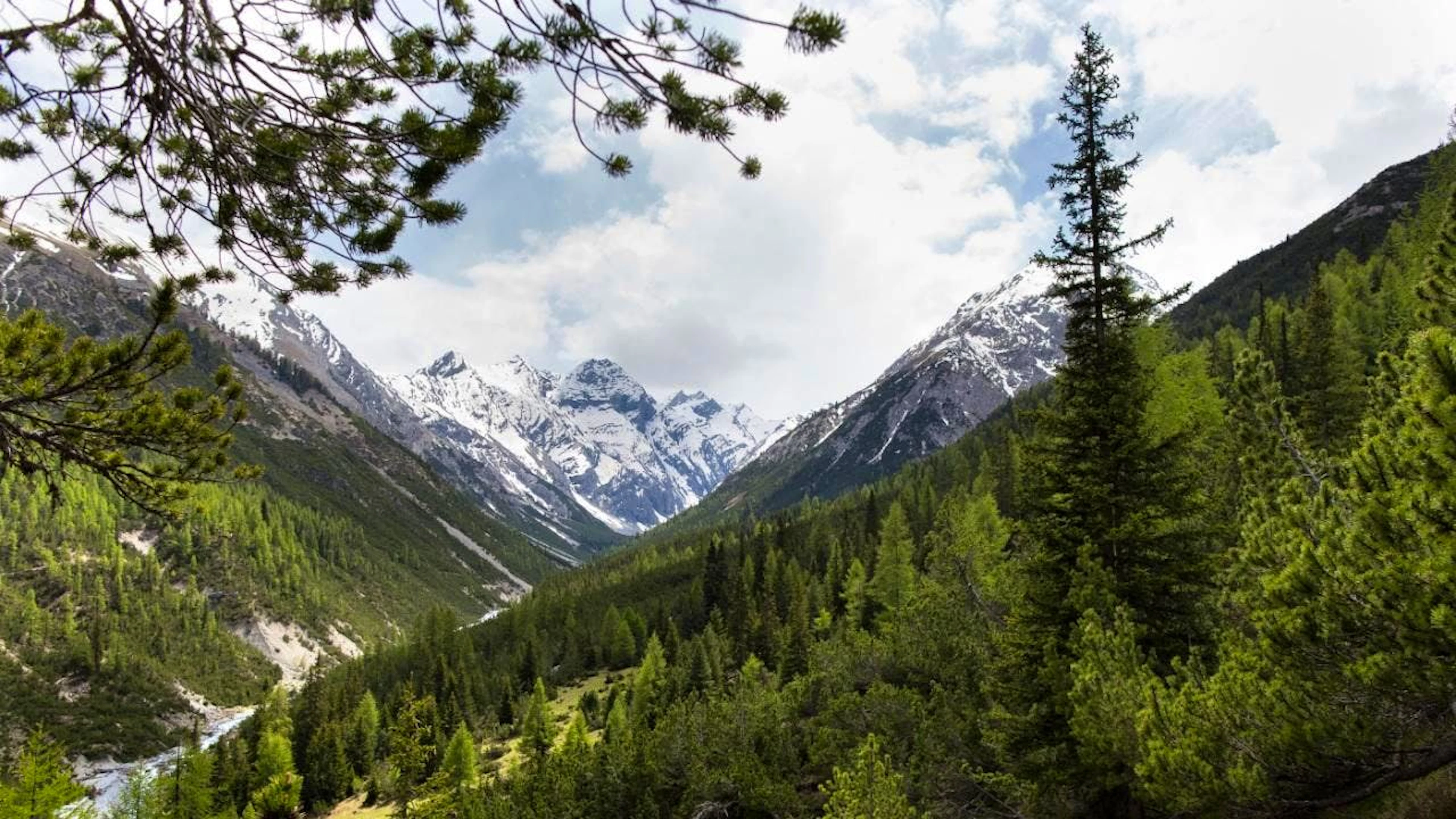 Negli anni della pandemia il Parco nazionale svizzero era stato preso d'assalto dai visitatori. L'anno scorso quasi 87'800 persone in totale hanno visitato la riserva. Si è tornati così a livelli pre pandemici. (immagine d'archivio)