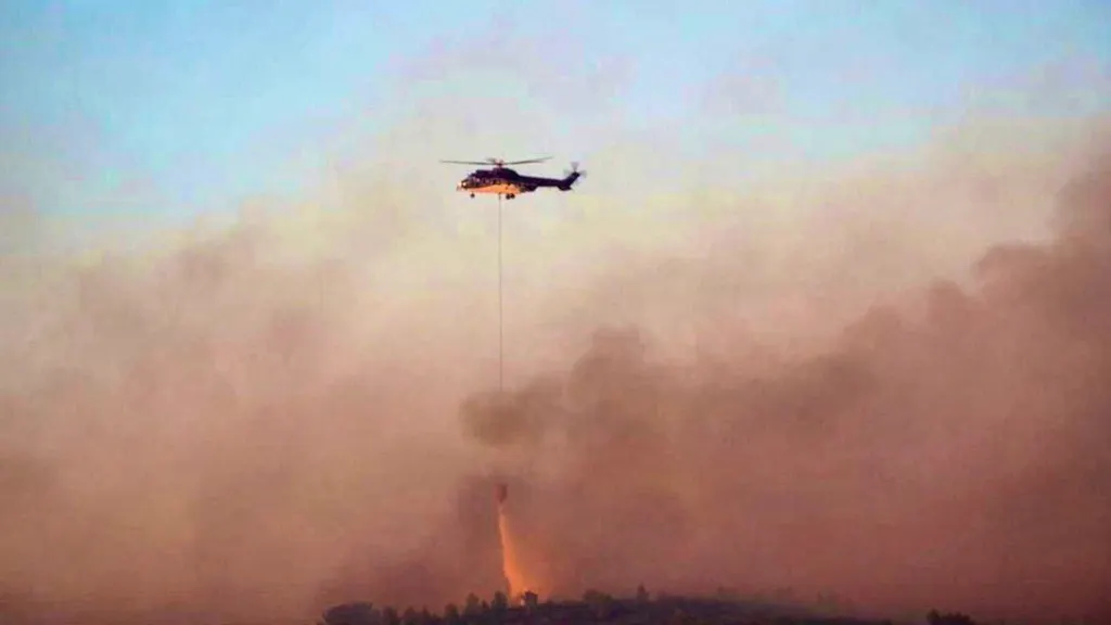 Large forest fire in southern France