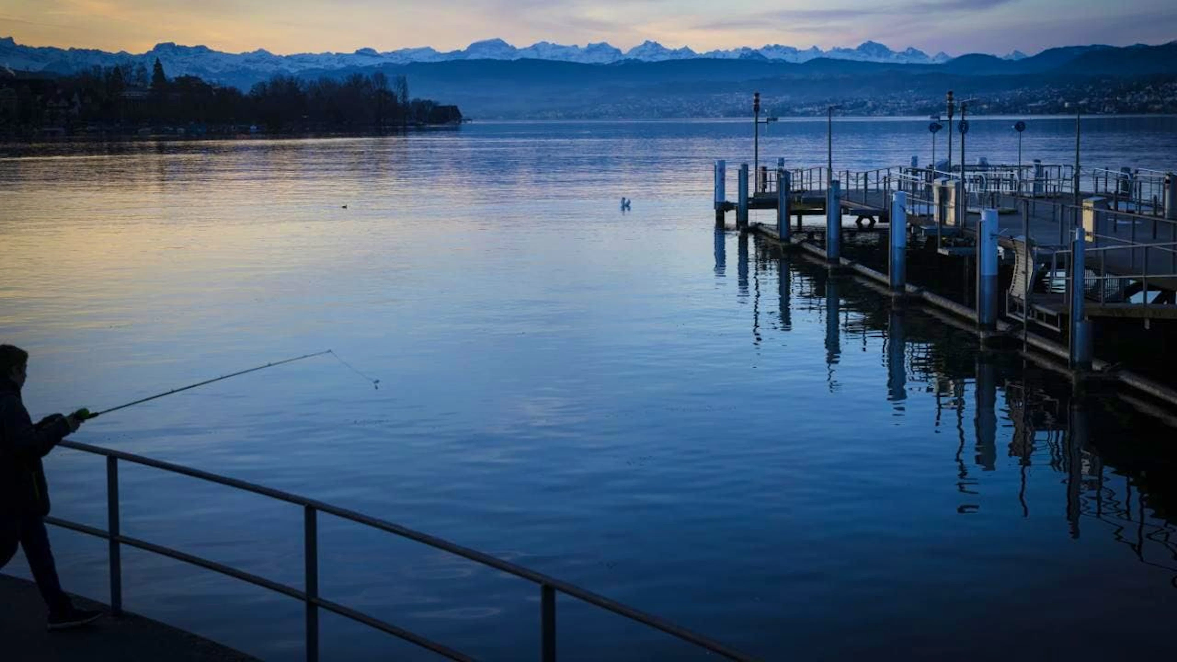 Secondo annegamento nel giro di pochi  giorni nel lago di Zurigo