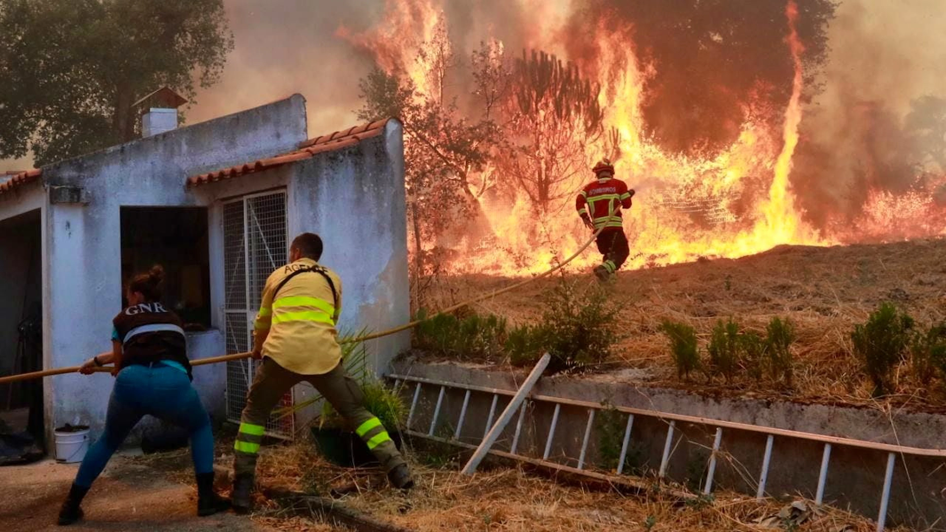 Feuerwehrleute bekämpfen Waldbrände in Portugal.