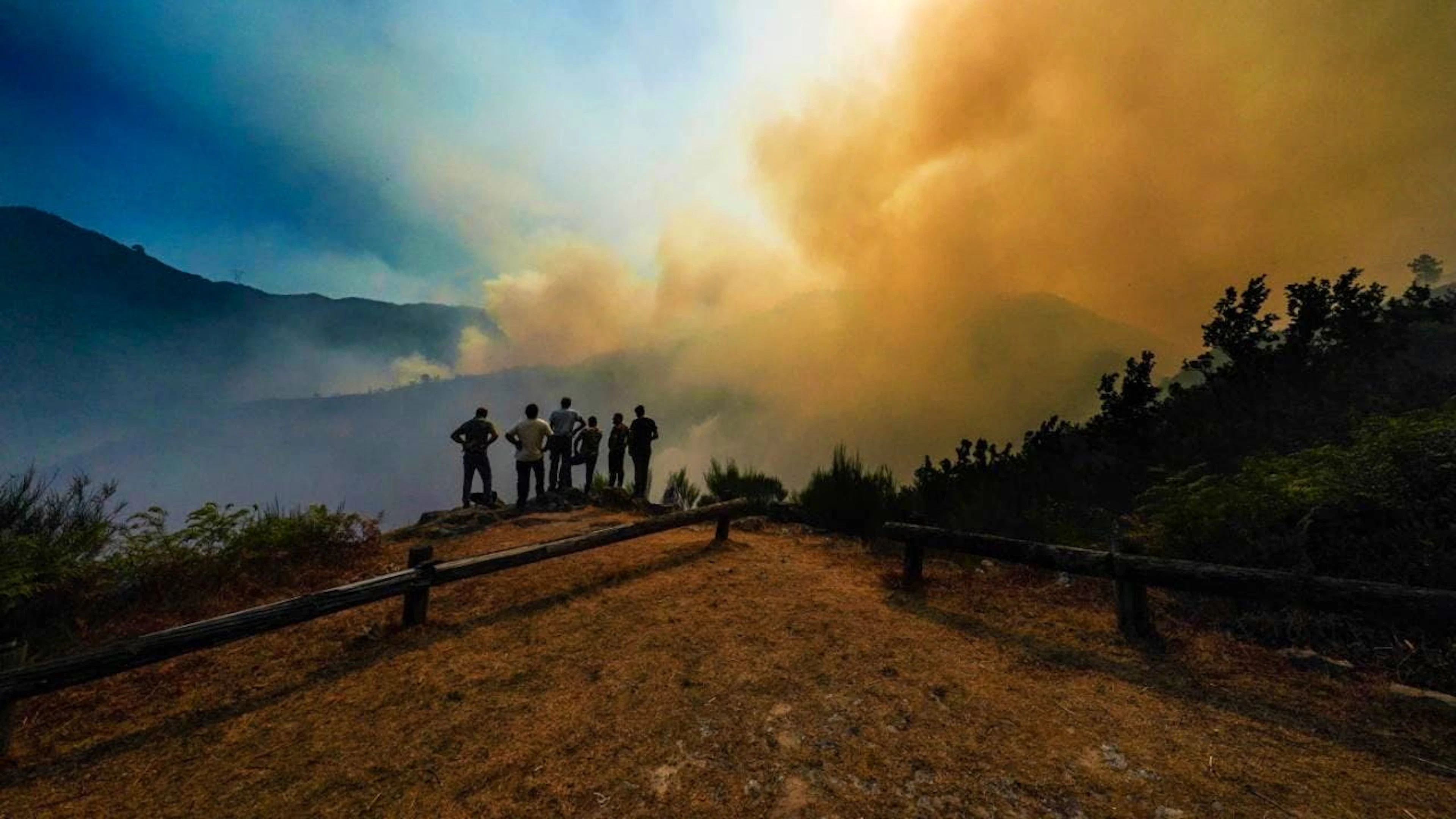 Plusieurs feux de forêt font rage depuis des jours dans tout le Portugal.