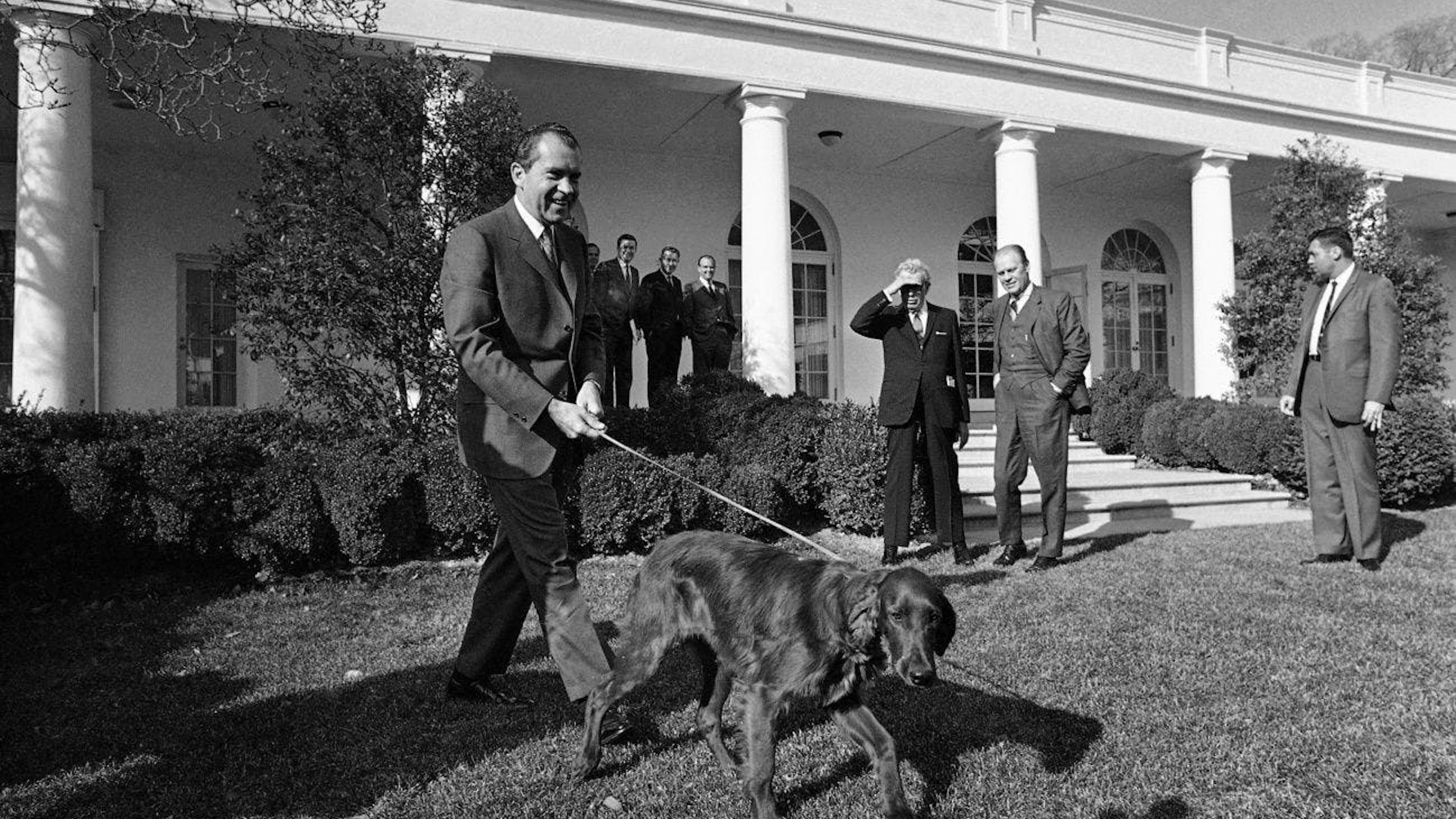 Praktisch für Präsidenten, die einen Hund haben:&nbsp;Richard Nixon präsentiert am 28. Januar 1969 seinen neuen, sechs Monate alten&nbsp;Irish Setter namens Tim.