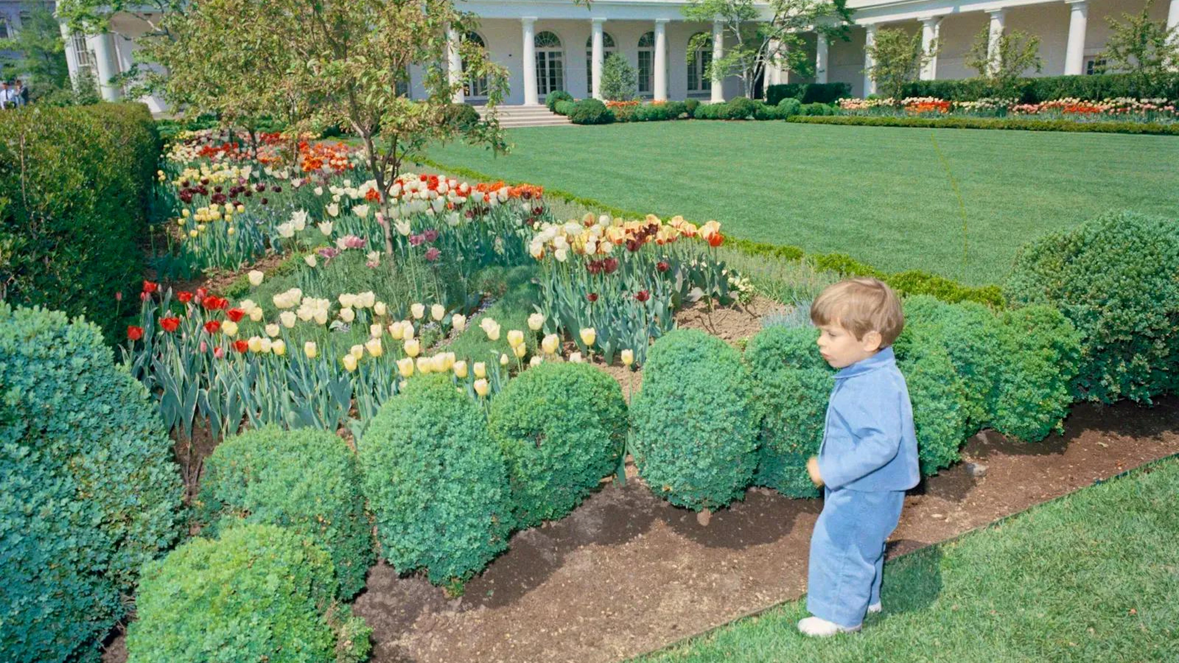 John F. Kennedy, Jr.  bestaunt den Rosengarten des Weissen Hauses am April 1963. 