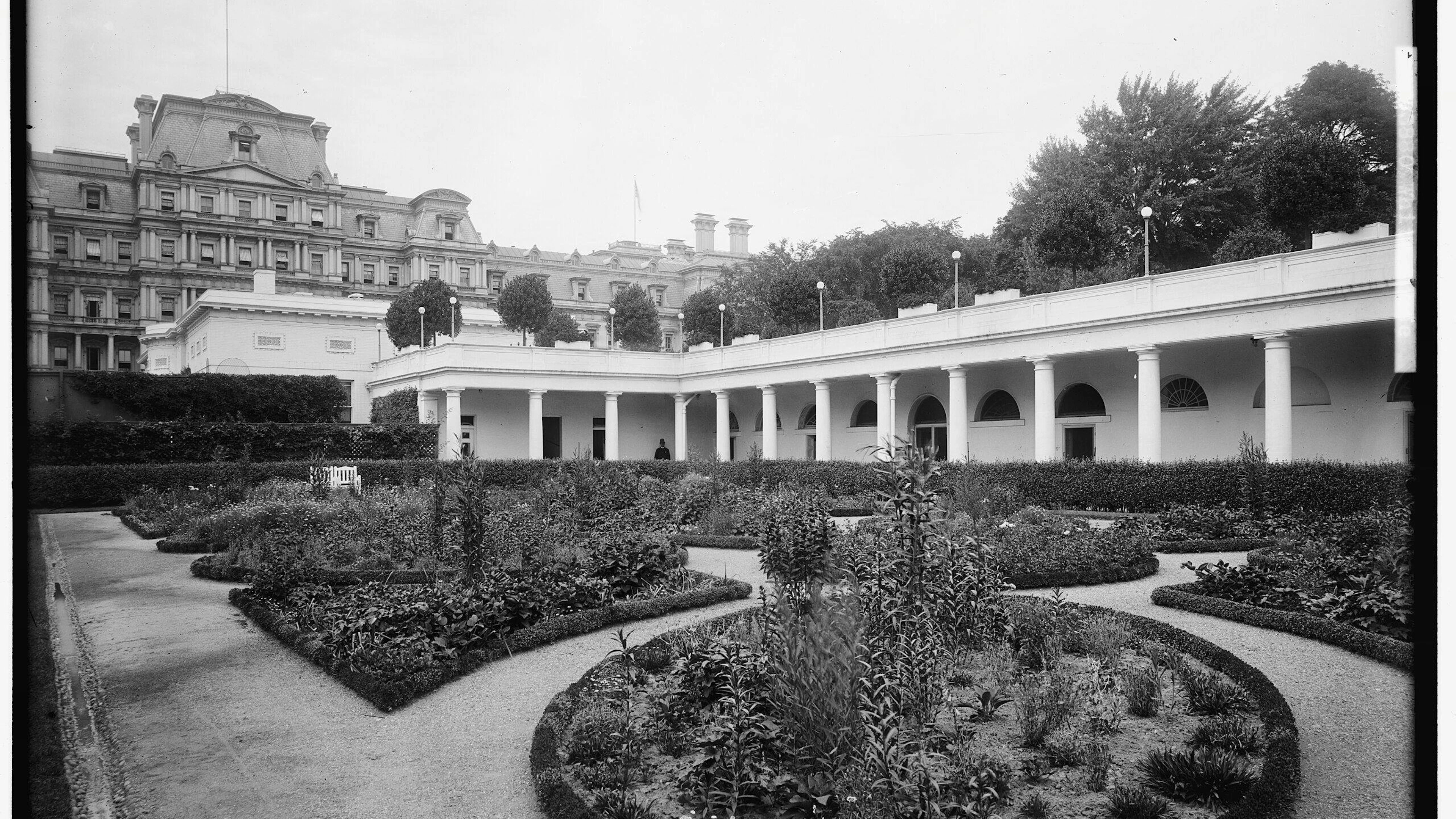 In der Ägide von Theodore Roosevelt wurde vor dem Weissen Haus ein Kolonialgarten angelegt: Dieses Bild wird auf um 1908 datiert.&nbsp;