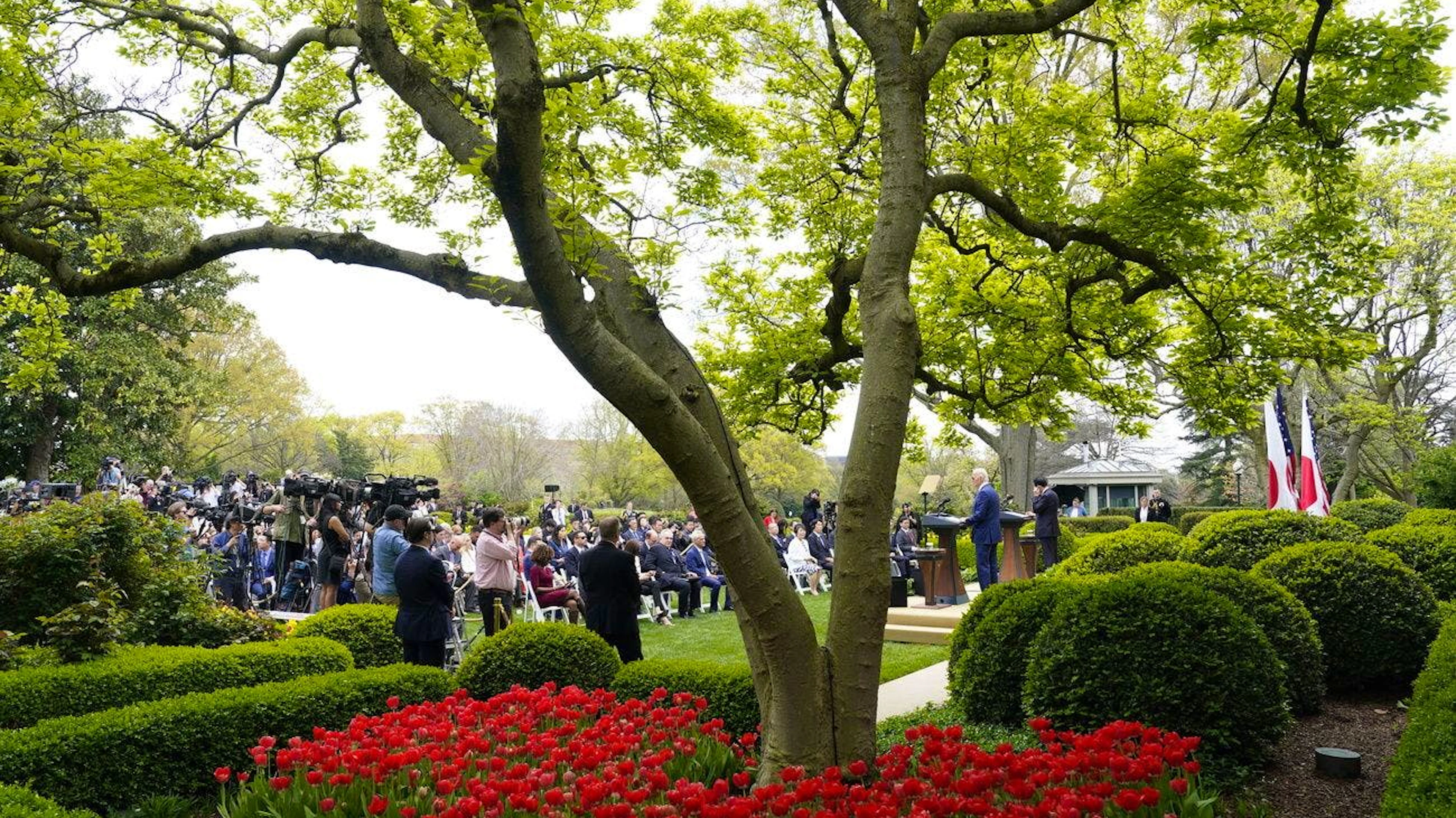 Joe Biden empfängt im. April 2024 den japanischen Premier im Rosengarten.