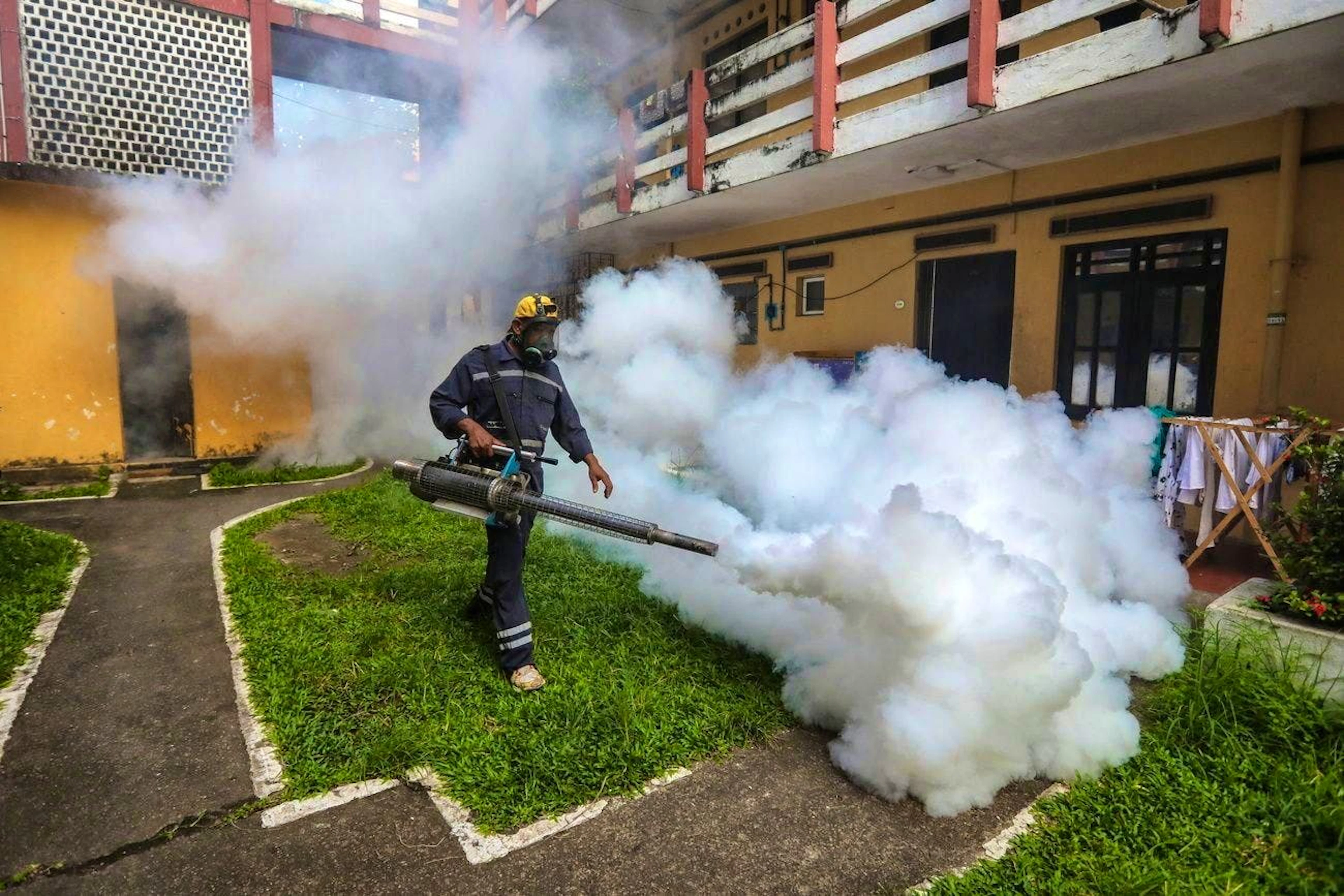The Chinese government is fighting the chikungunya virus with smoke.