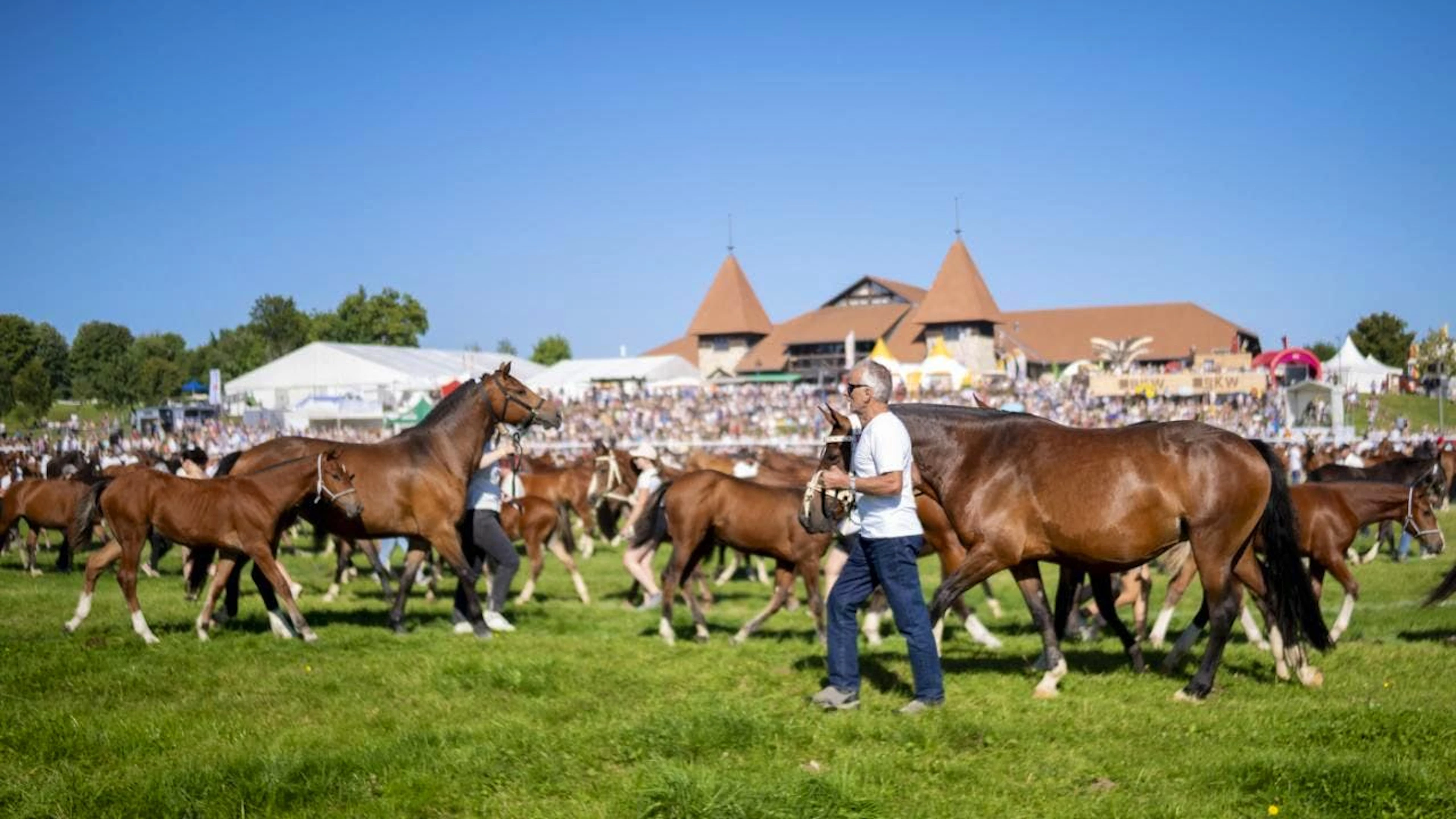 Pferdezüchter bei der Präsentation ihrer Tiere am Sonntagmorgen am Marché-Concours in Saignelégier.