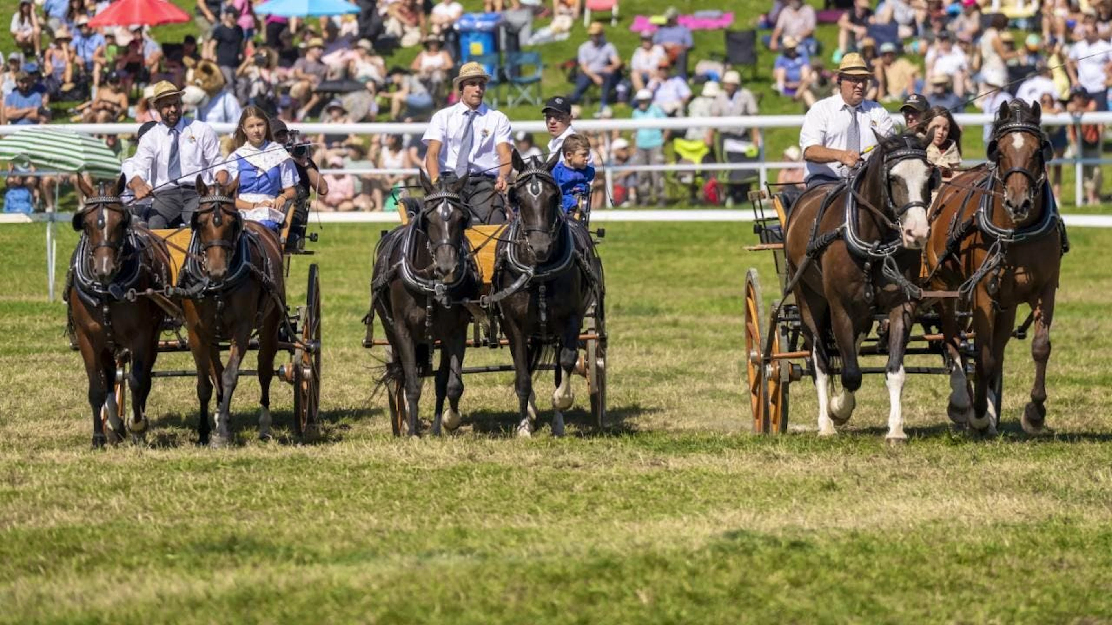 Pferderennen am Marché Concours in Saignelegier.