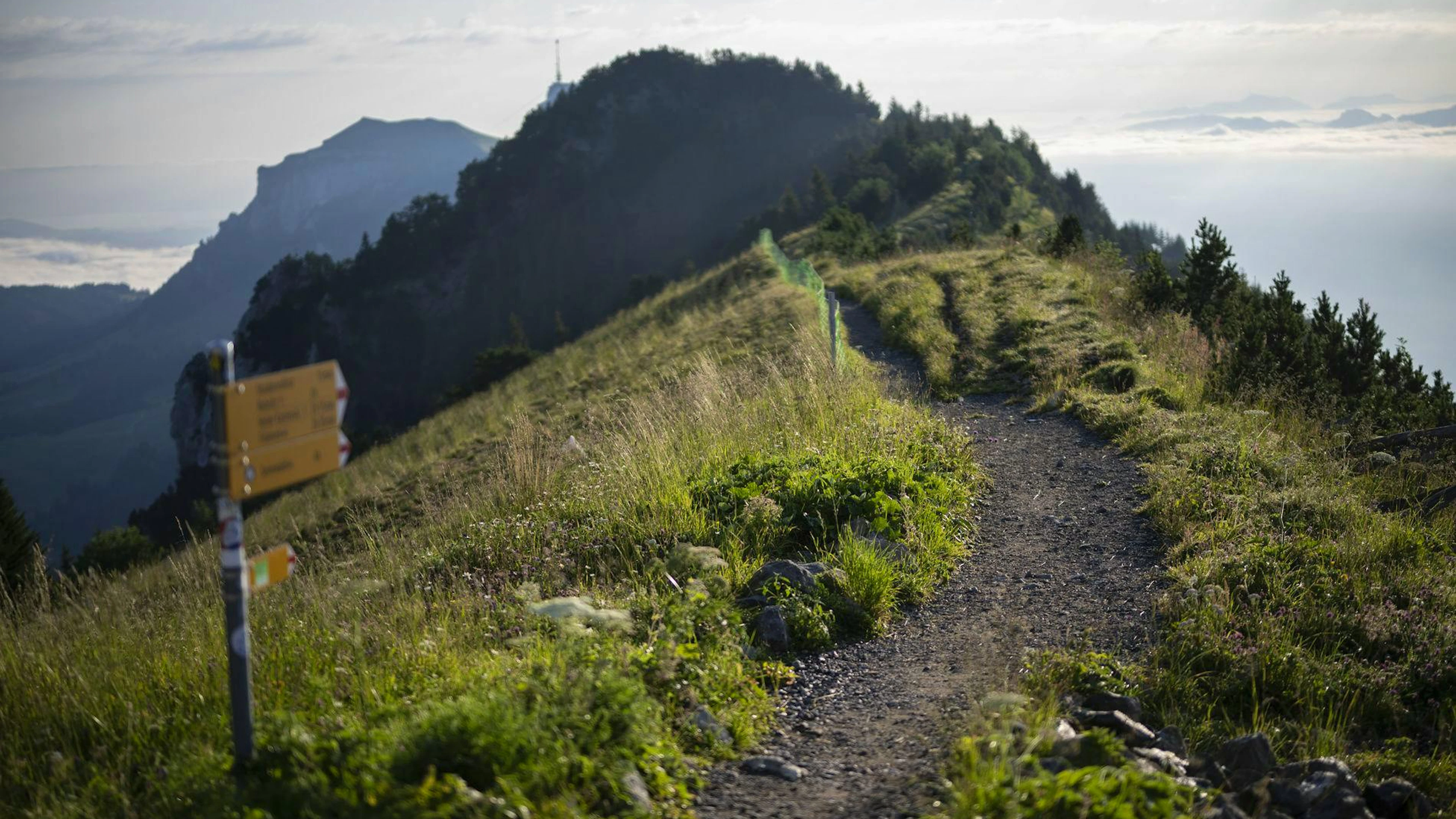 Die Kantonspolizei Appenzell Innerrhoden untersucht die Gründe für den Unfall im Alpstein. (Themenbild)