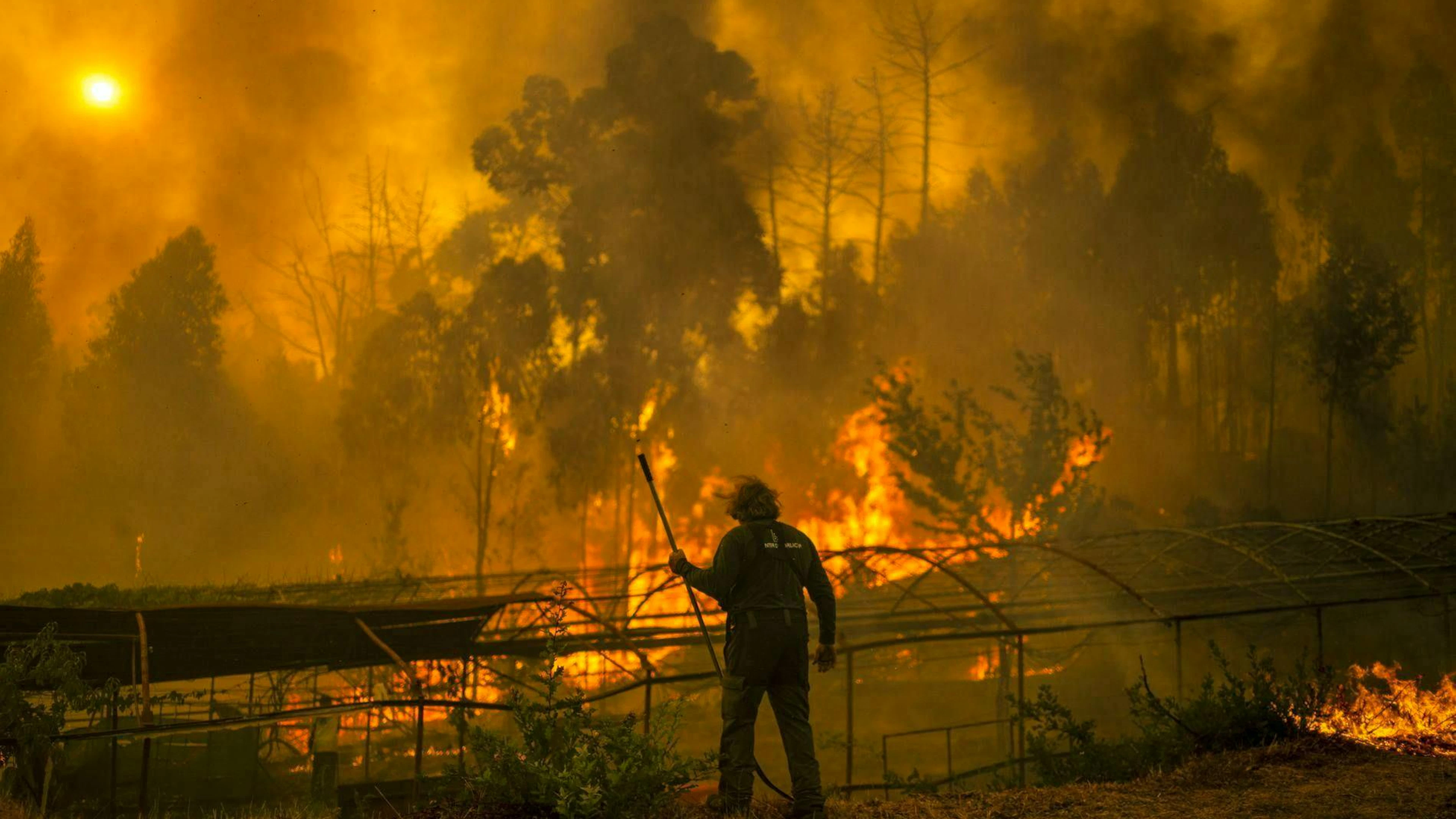 A forestry official battles the flames of a forest fire in Carballeda de Avia (Ourense, Galicia, northwest Spain).