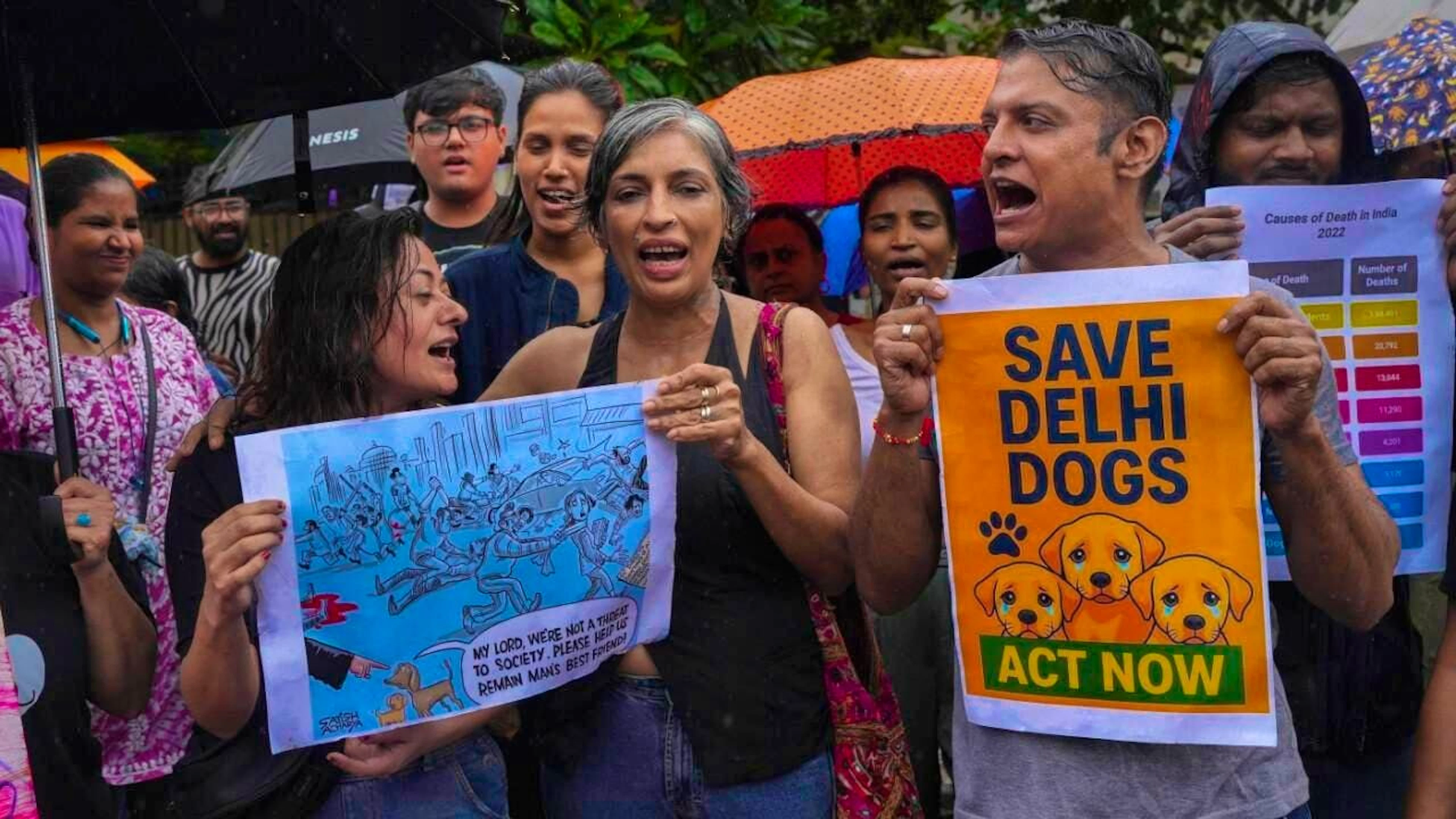ARCHIVE - Activists hold placards during a protest against India's Supreme Court ruling to remove all stray dogs from the streets. Photo: Rafiq Maqbool/AP/dpa