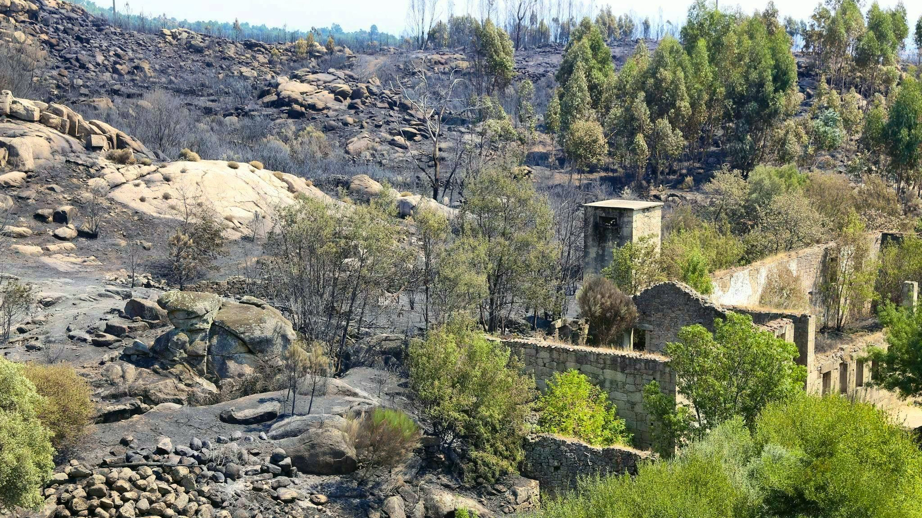The death toll from the devastating forest fires in Portugal has risen. Historic villages had to be evacuated.