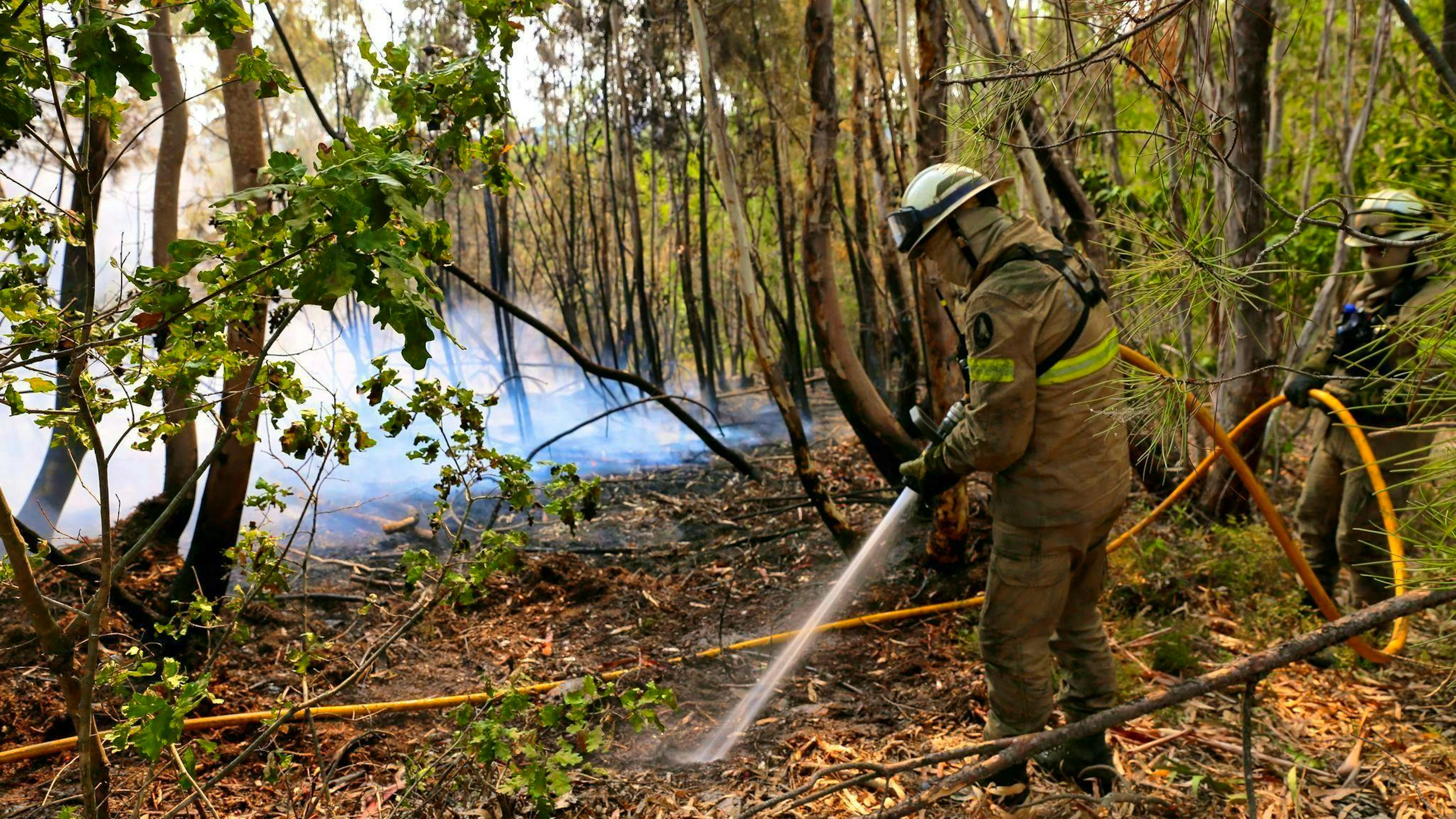 There is a slight easing in the severe forest fires in Portugal. However, around 1400 firefighters are still in action.