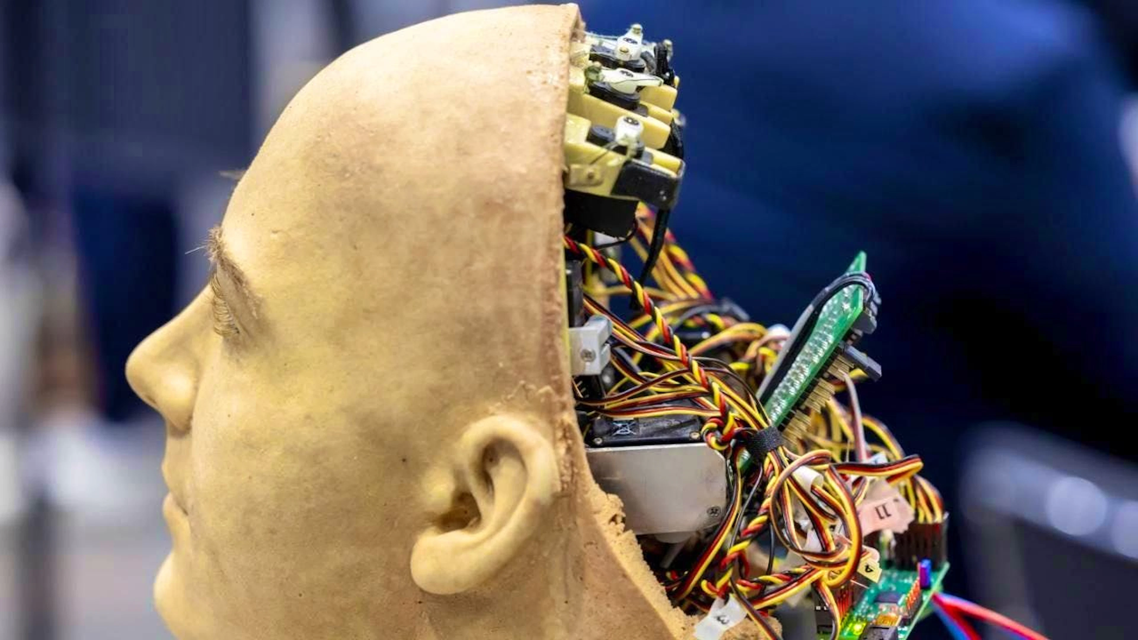 La misura in cui l'intelligenza artificiale sostituirà il pensiero umano è attualmente oggetto di dibattito in politica, economia e ricerca (immagine illustrativa).