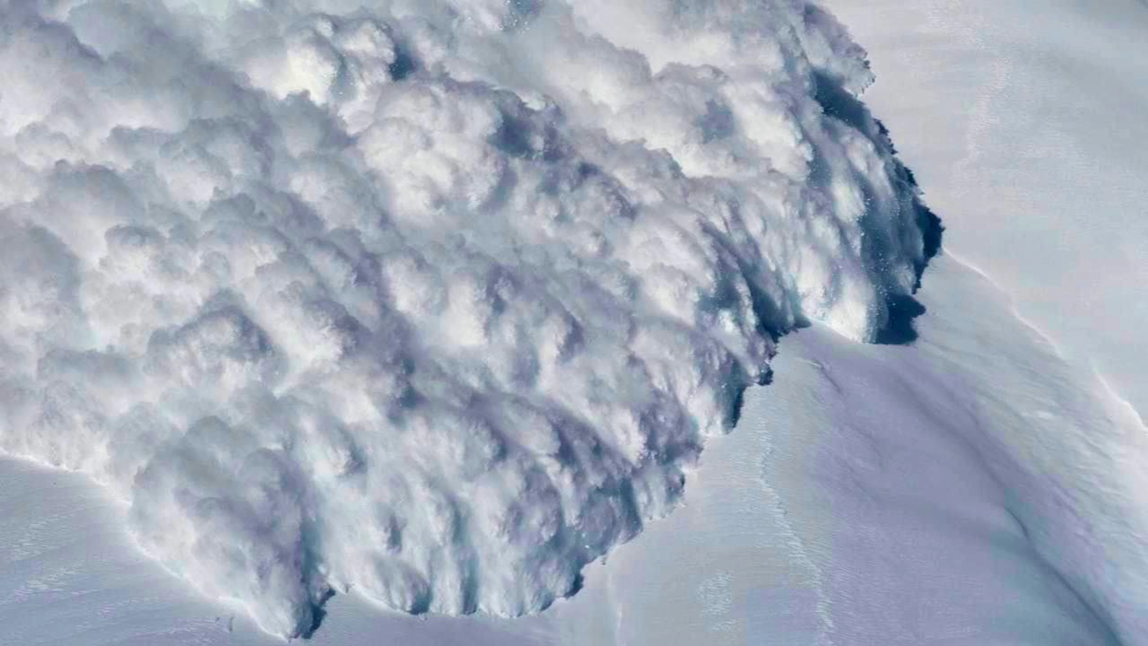 Protection forests can effectively stop avalanches. (archive picture)