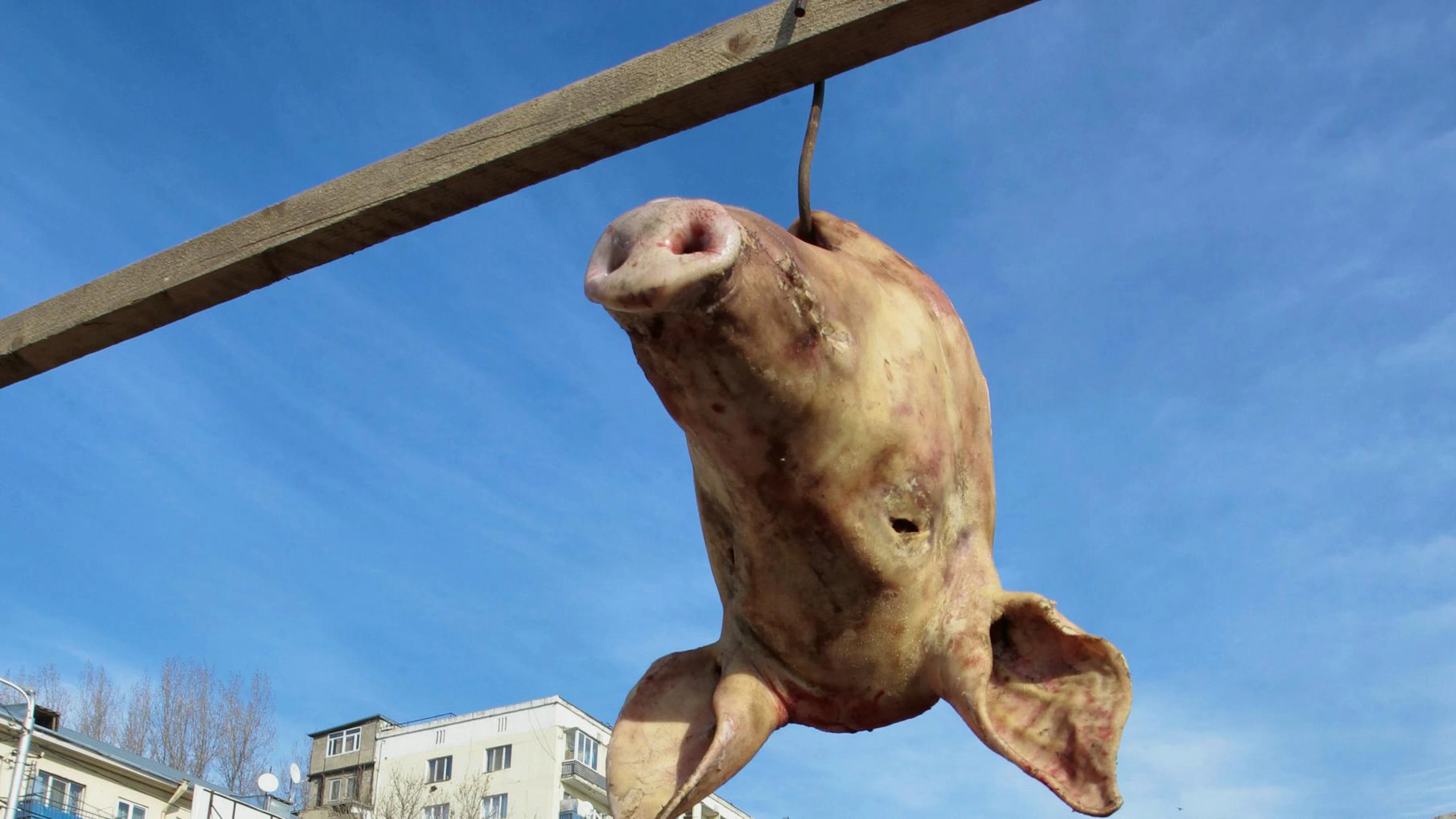 Le cochon est considéré comme impur par l'islam (image d’illustration).