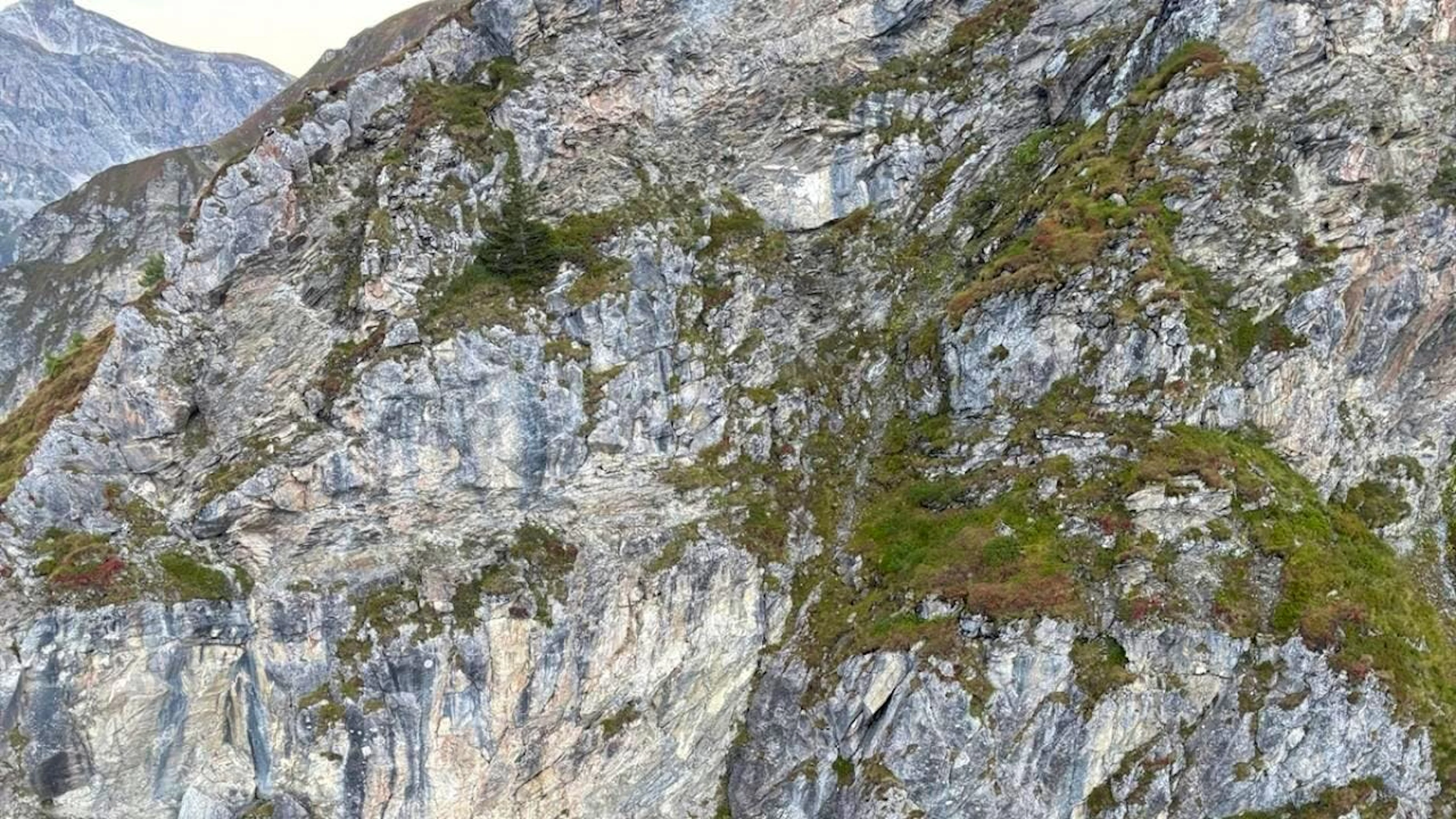 L'uomo è caduto da una parete rocciosa sopra il paese di Tschiertschen nei Grigioni.