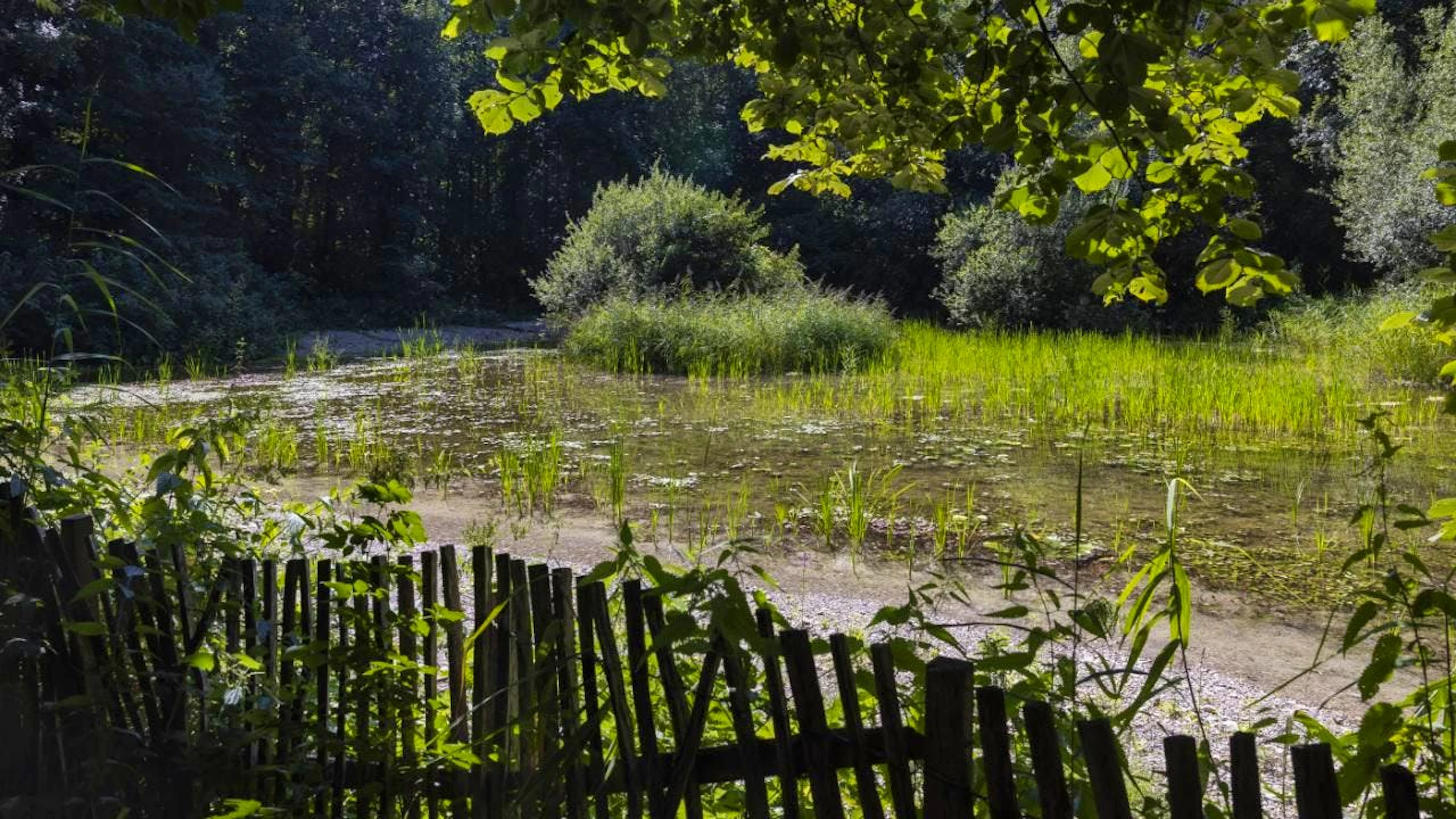 Lausanne va éteindre l'éclairage public de sept parcs, ainsi qu'un tronçon de route près de l'étang du Bourget, afin de favoriser la biodiversité (archives).