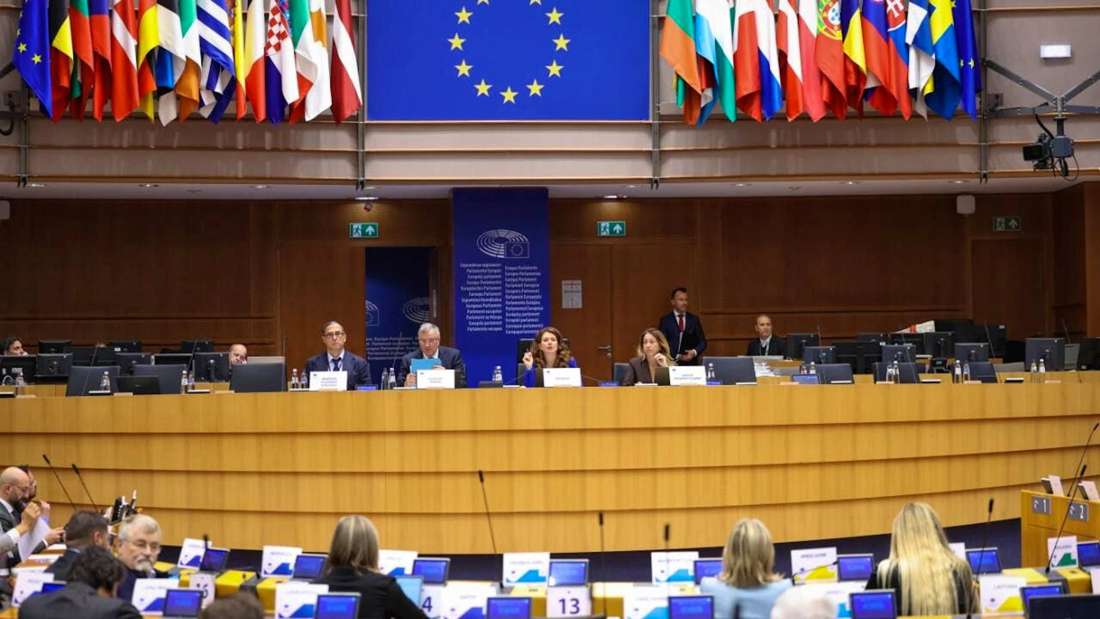 Le Comité européen des régions adopte une soixantaine d'avis au cours des sessions plénières.