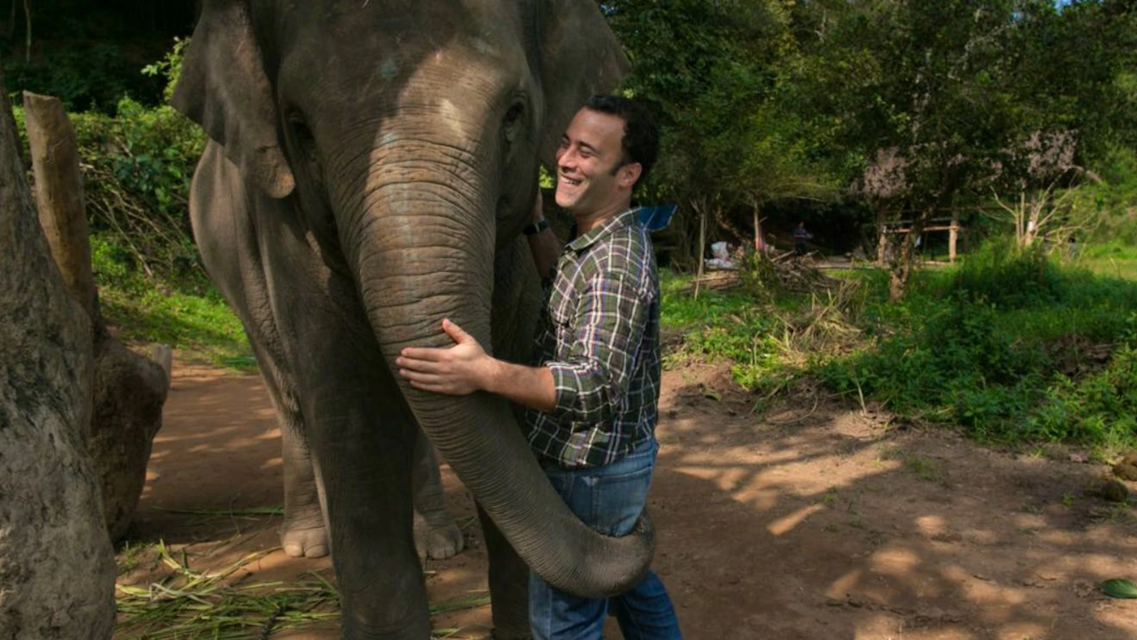 Blake Dinkin fand sie nach einer experimentellen Weile im thailändischen Elefanten. Eine Gruppe dieser Tiere frisst, verdaut und entsorgt Kaffeekirschen und ihre Kerne. Daraus entsteht der «Black Ivory Coffee» («Schwarzes Elfenbein»), der aktuell weltweit teuerste Kaffee.
