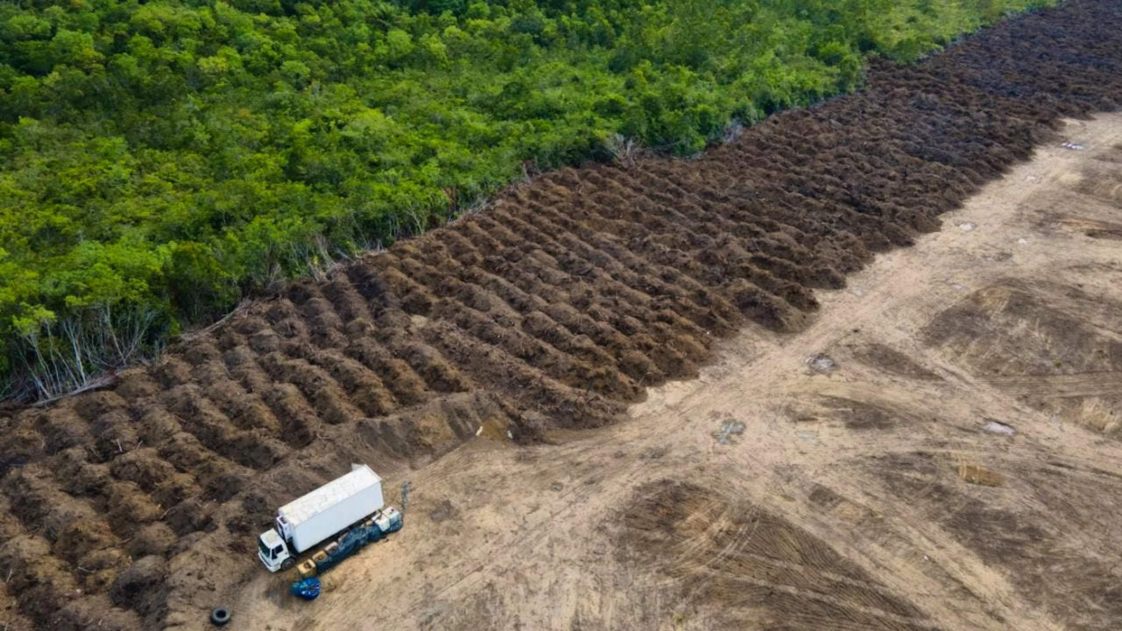 Ein Lastwagen steht in einem abgeholzten Gebiet des Amazonas.