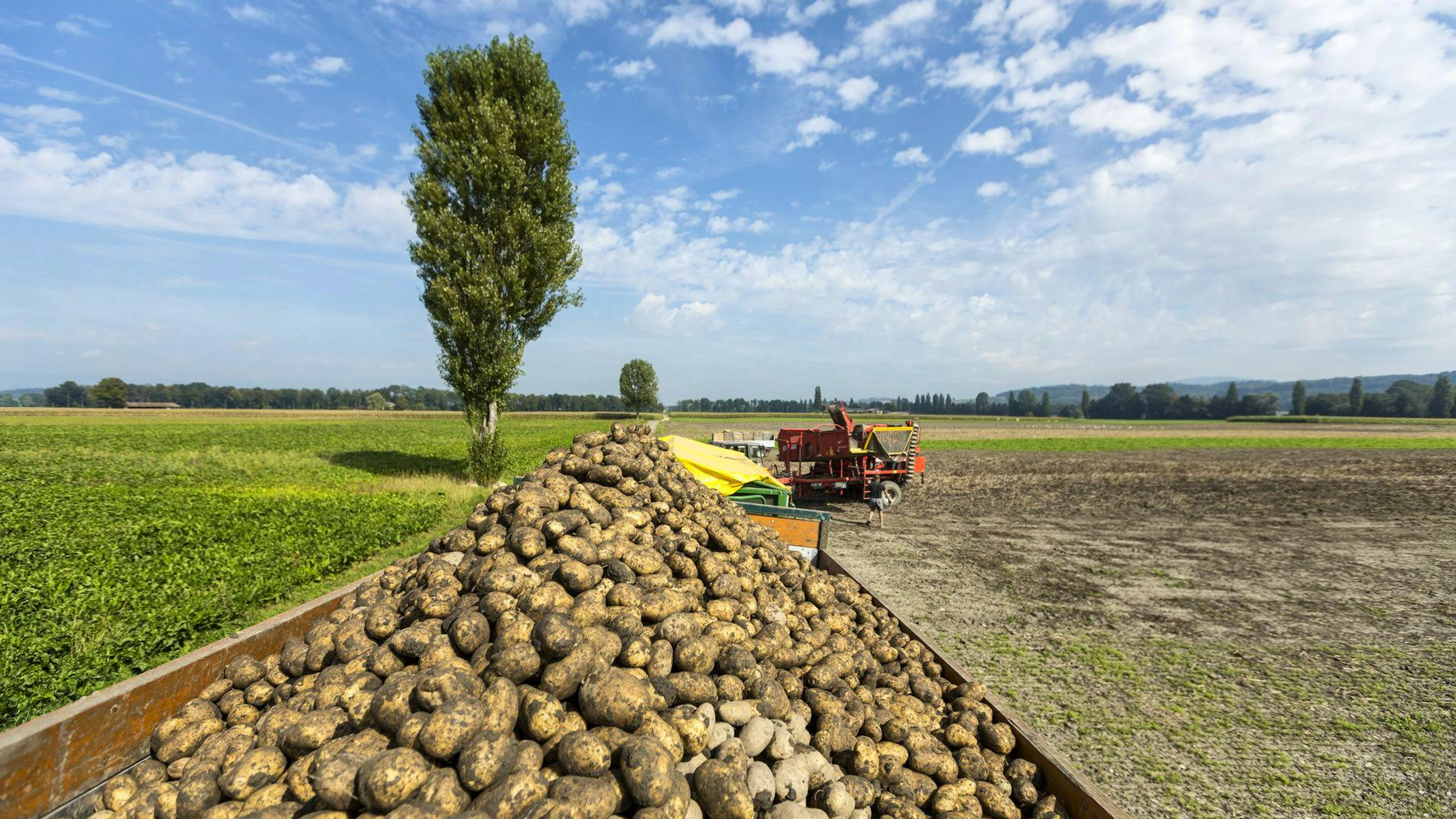Landwirtschaftliche Nutzflächen prägen vielerorts das Schweizer Landschaftsbild. (Symbolbild)