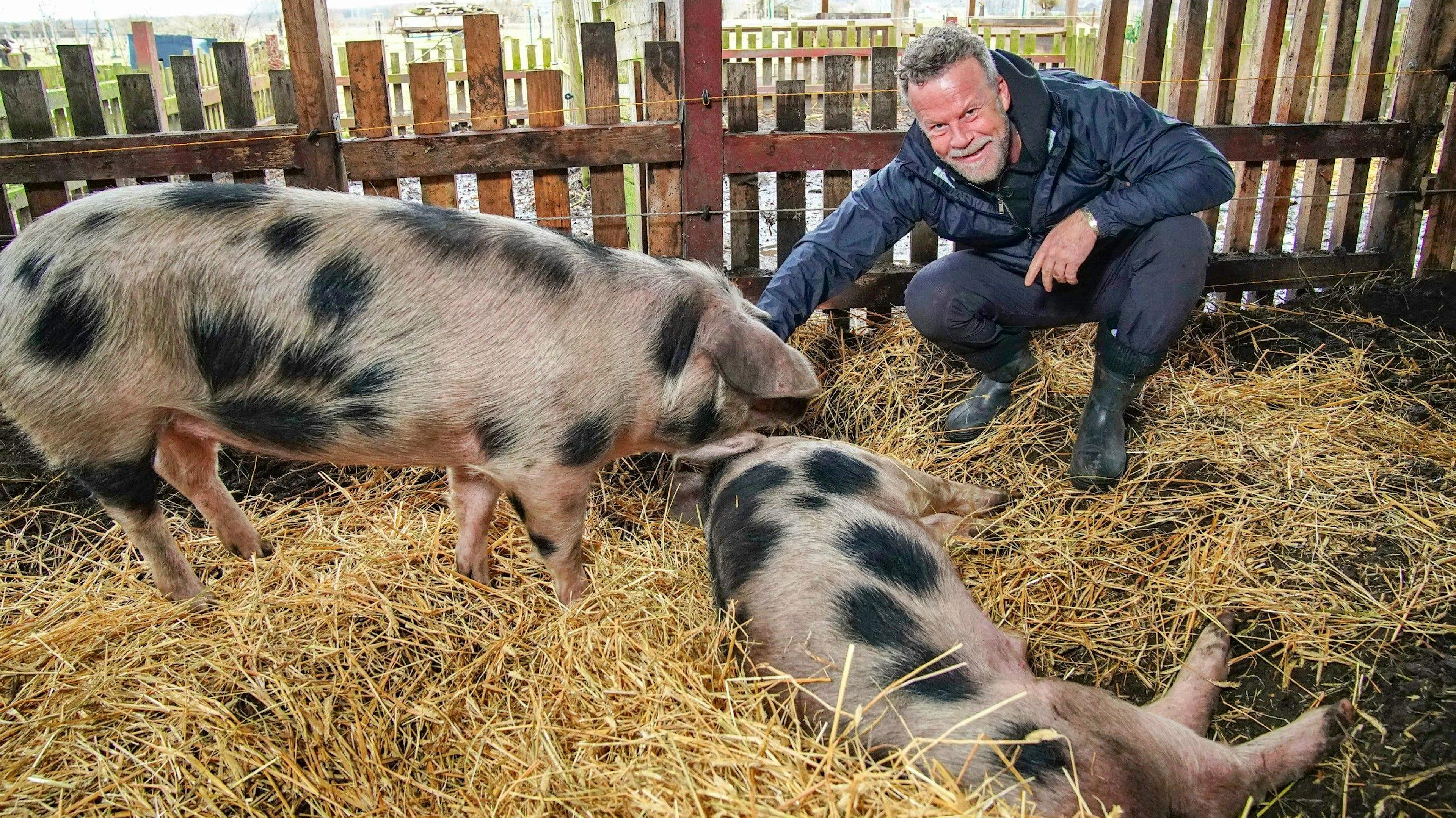 Und am Ende stand Jenke von Wilmsdorff vor der Frage: Elsa und Schmali schlachten oder am Leben lassen?