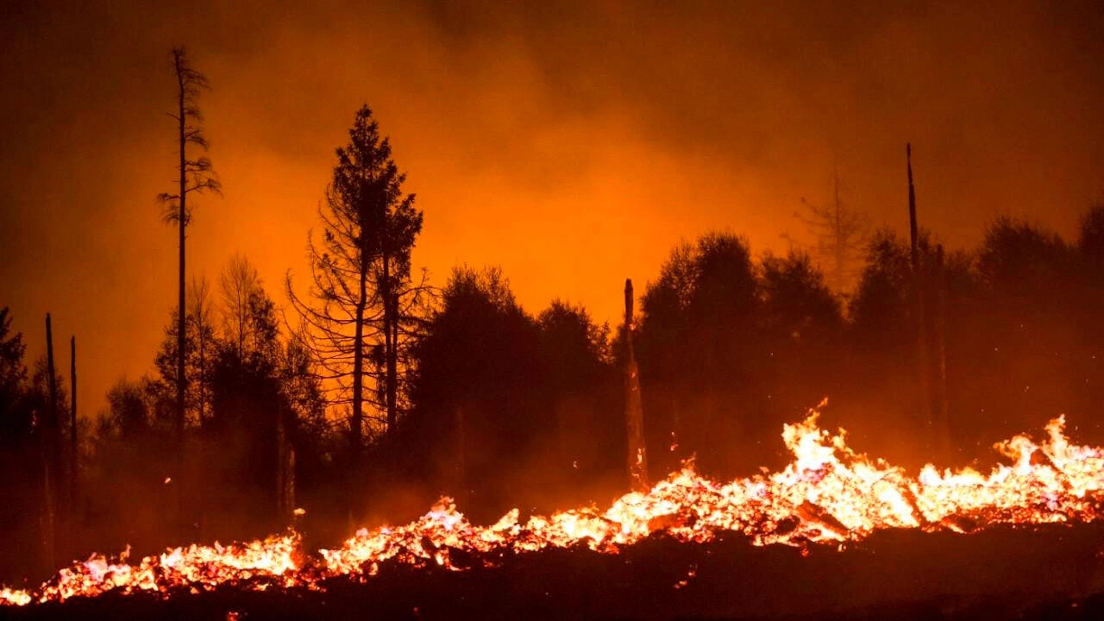 Flammen lodern in einem Waldstück der Saalfelder Höhe. Wegen des Waldbrands im Landkreis Saalfeld-Rudolstadt wurde Katastrophenalarm ausgelöst. Starke Winde hätten ein Feuer am Nachmittag angefacht, sagte ein Sprecher des Landkreises. +++ dpa-Bildfunk +++